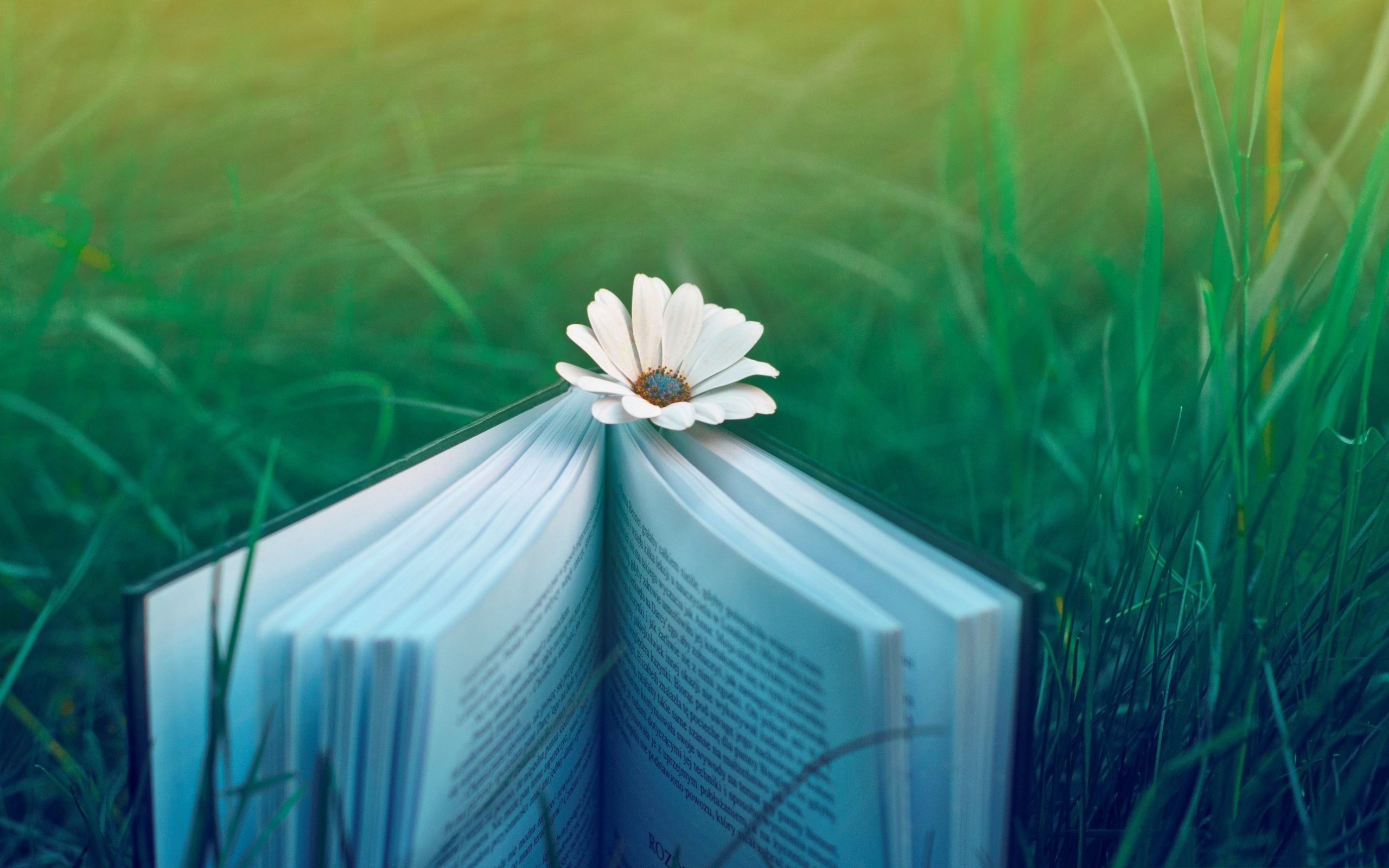 Beautiful Books Wallpapers