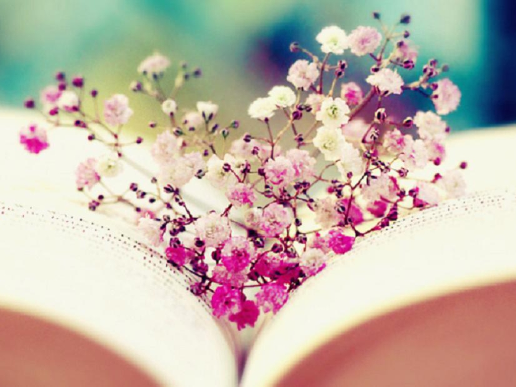 Beautiful Books Wallpapers