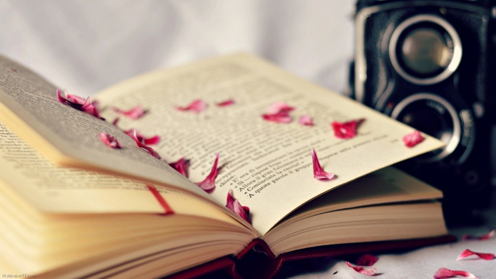 Beautiful Books Wallpapers