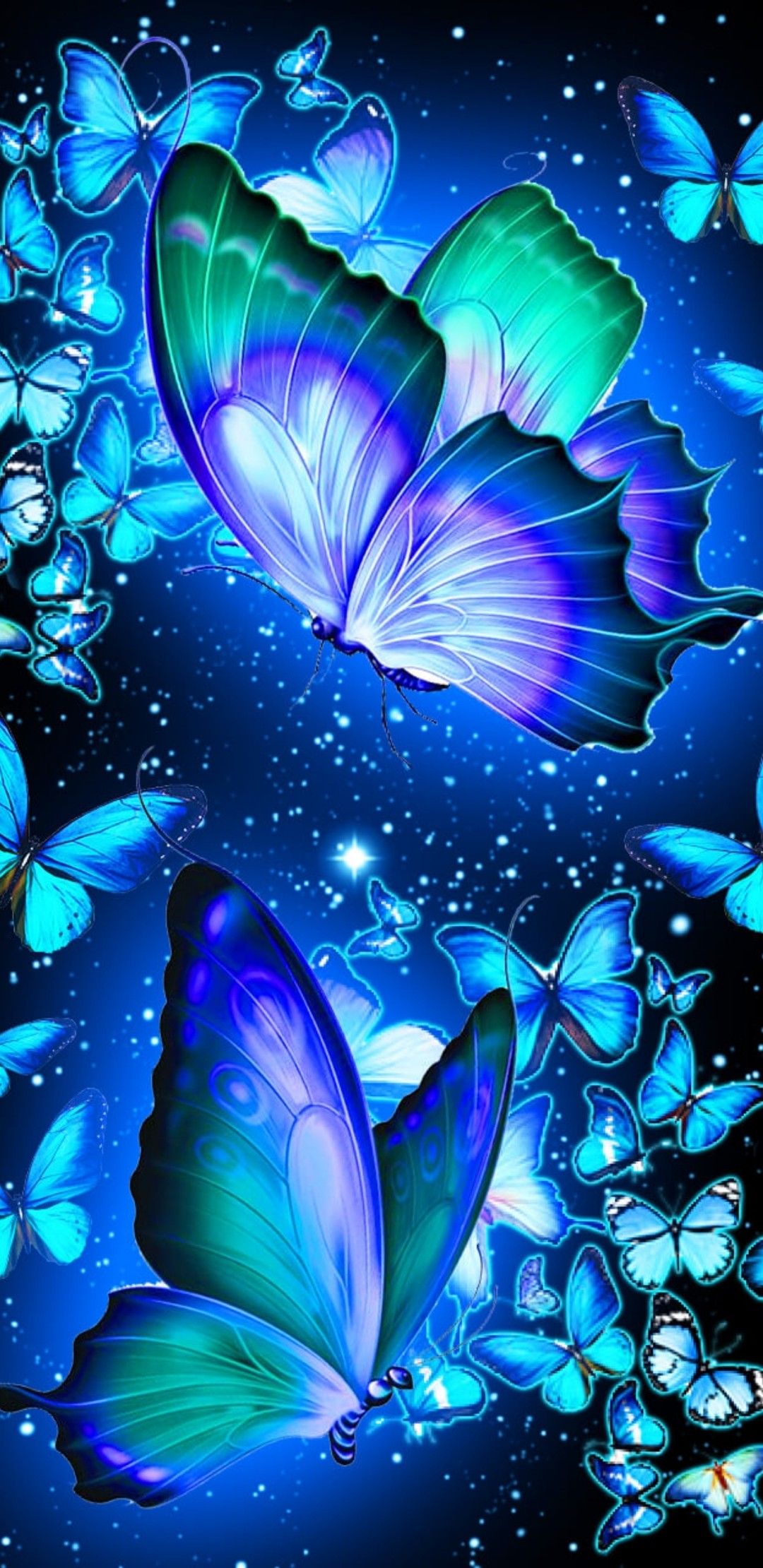 Beautiful Butterflies  Wallpapers