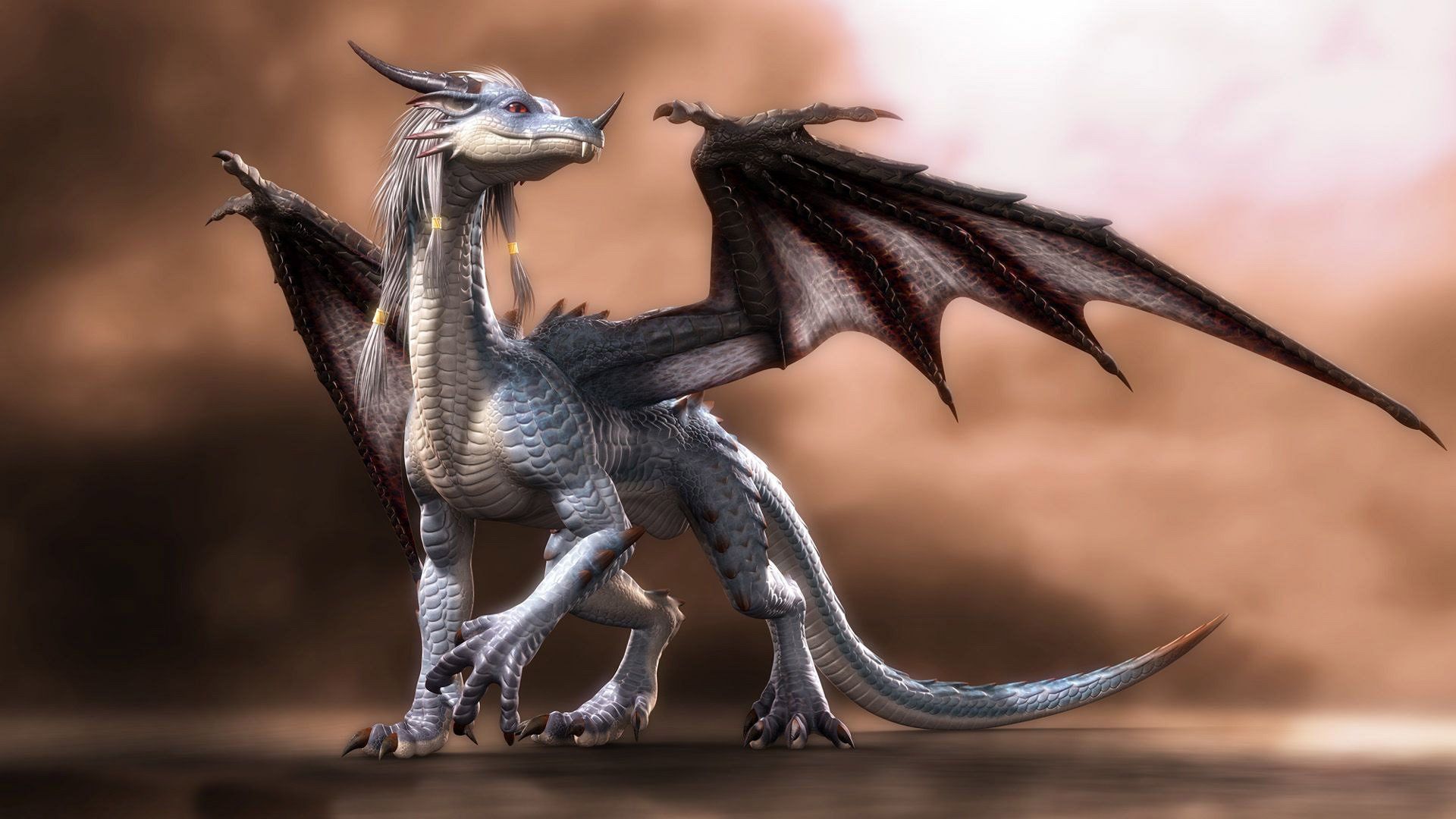 Beautiful Dragon Wallpapers