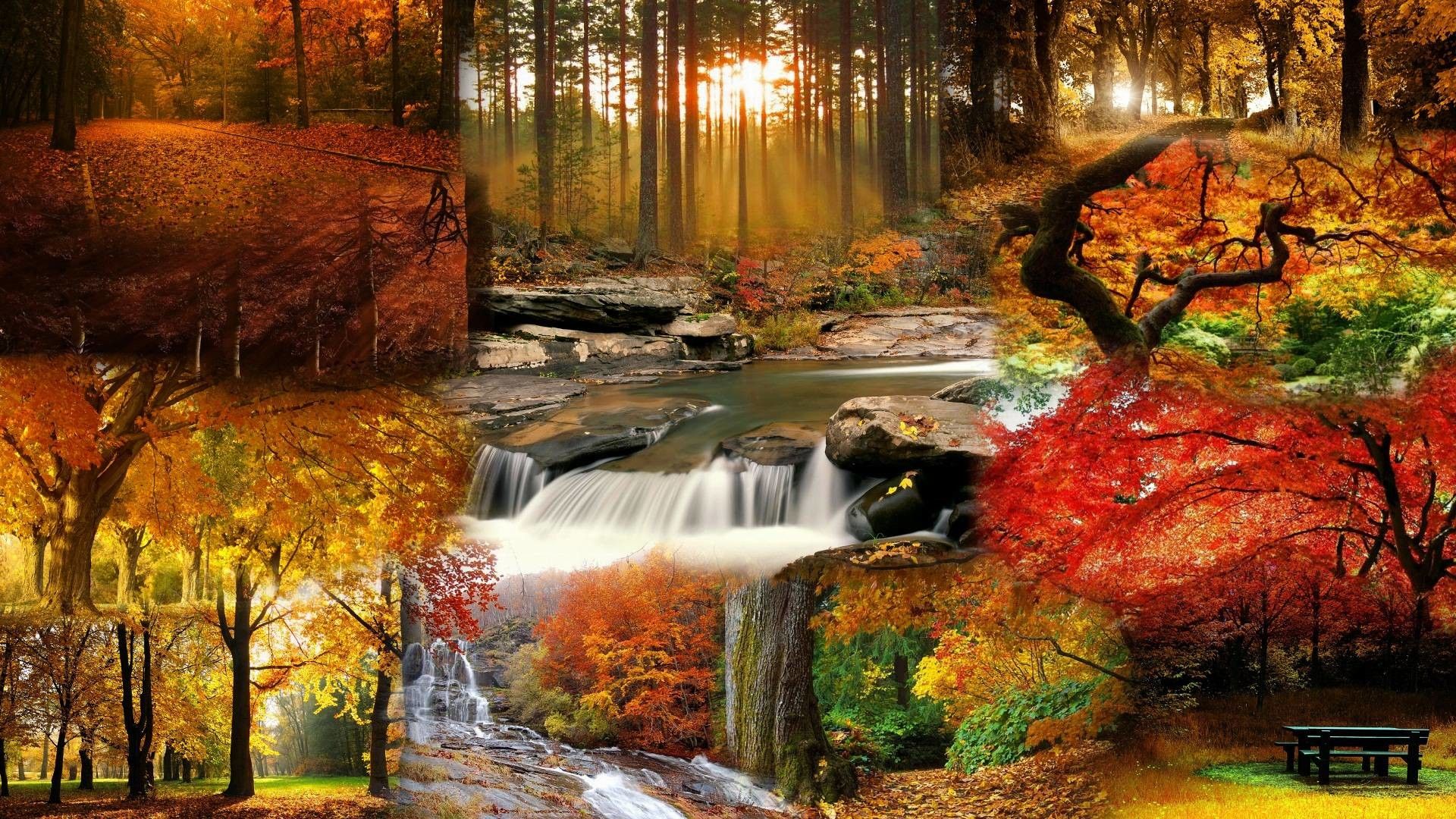 Beautiful Fall Pictures Wallpapers