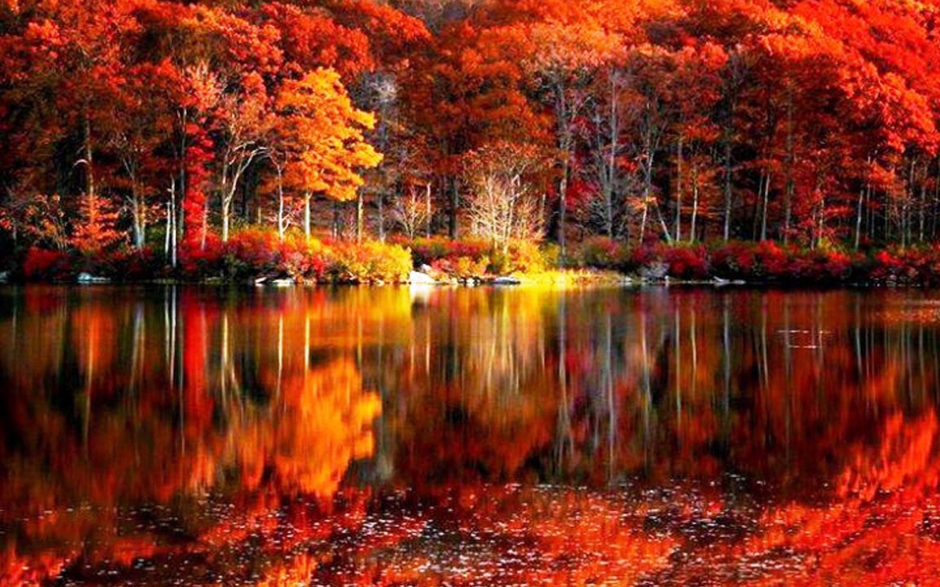 Beautiful Fall Pictures Wallpapers