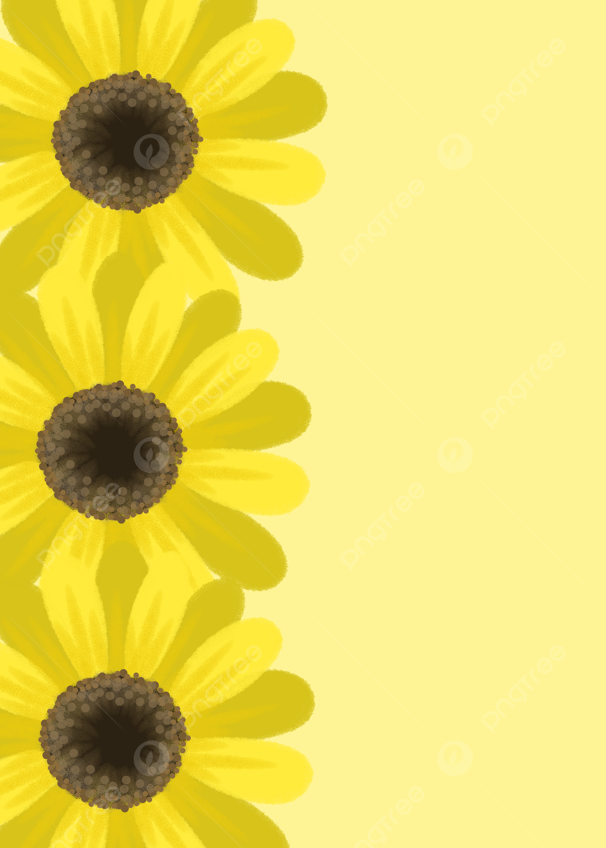 Beautiful Fall Sunflower Wallpapers