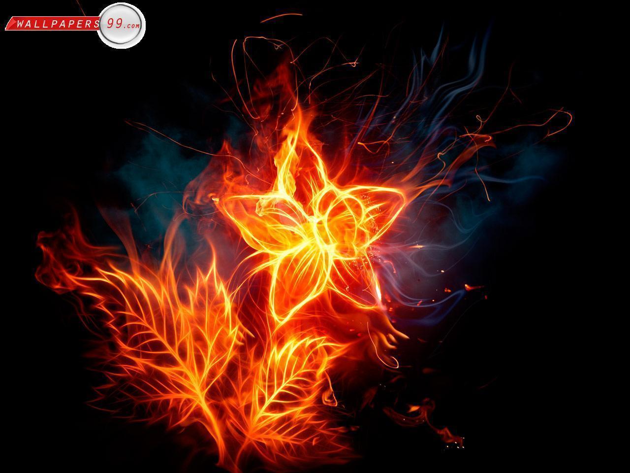 Beautiful Fire Wallpapers