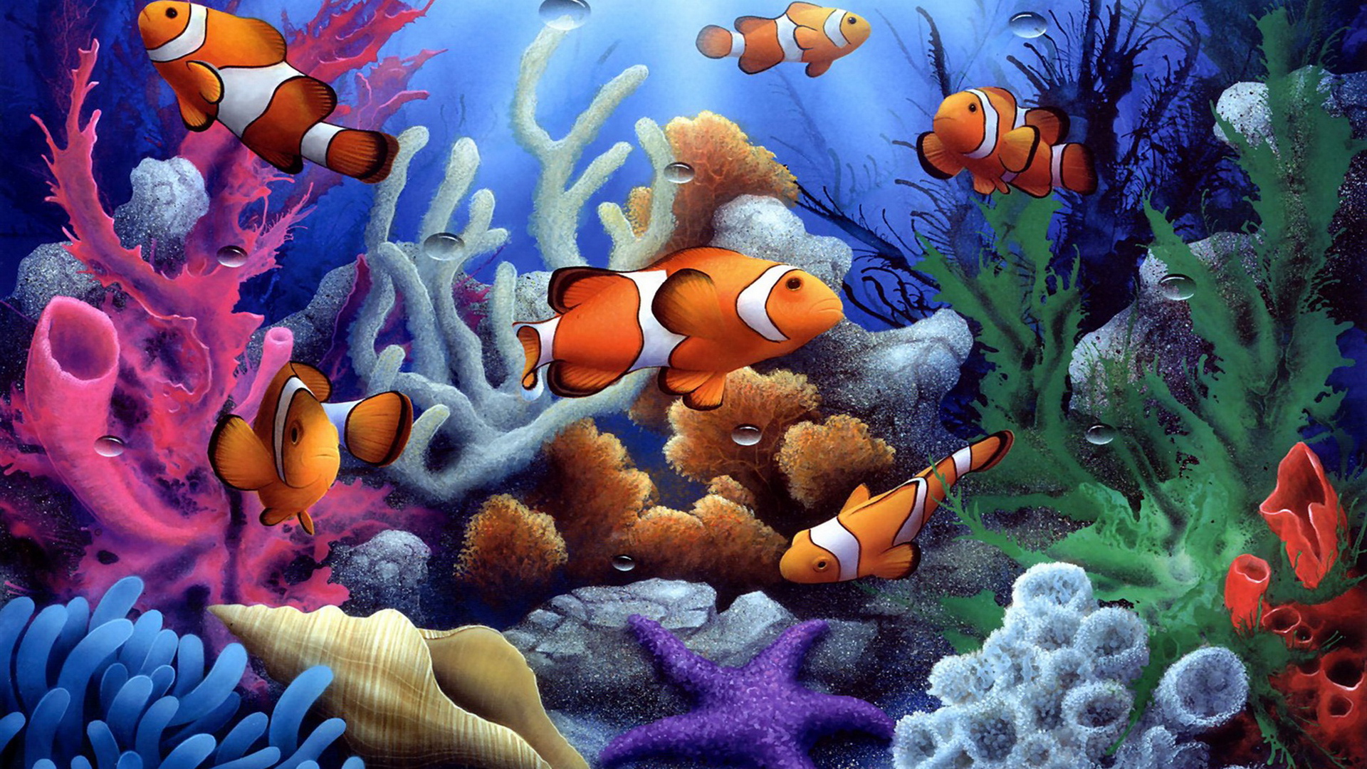 Beautiful Fish Wallpapers