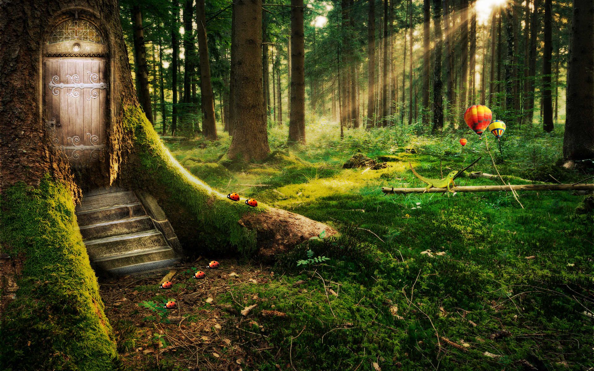 Beautiful Forest Hd Wallpapers