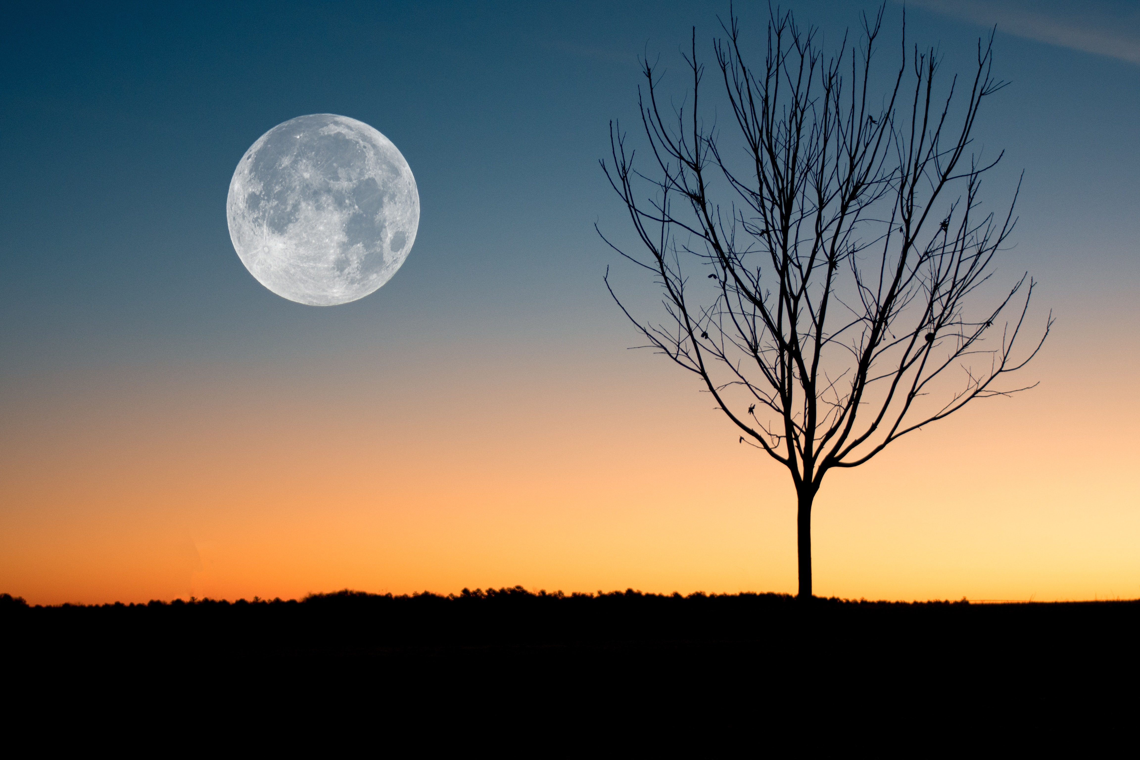 Beautiful Full Moon Wallpapers