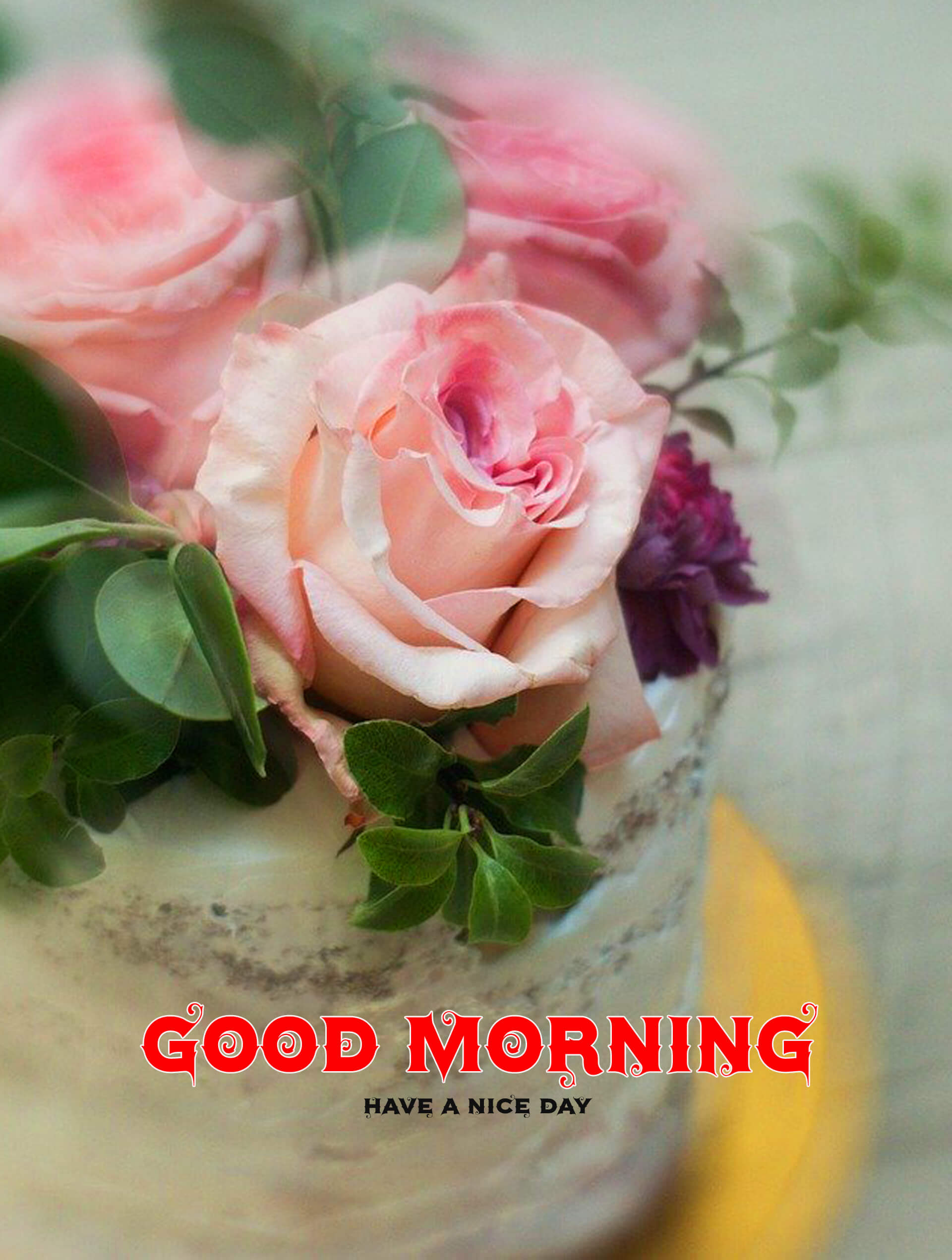 Beautiful Good Morning Hd Wallpapers