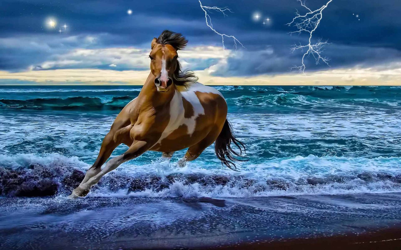 Beautiful Horse DesktopWallpapers