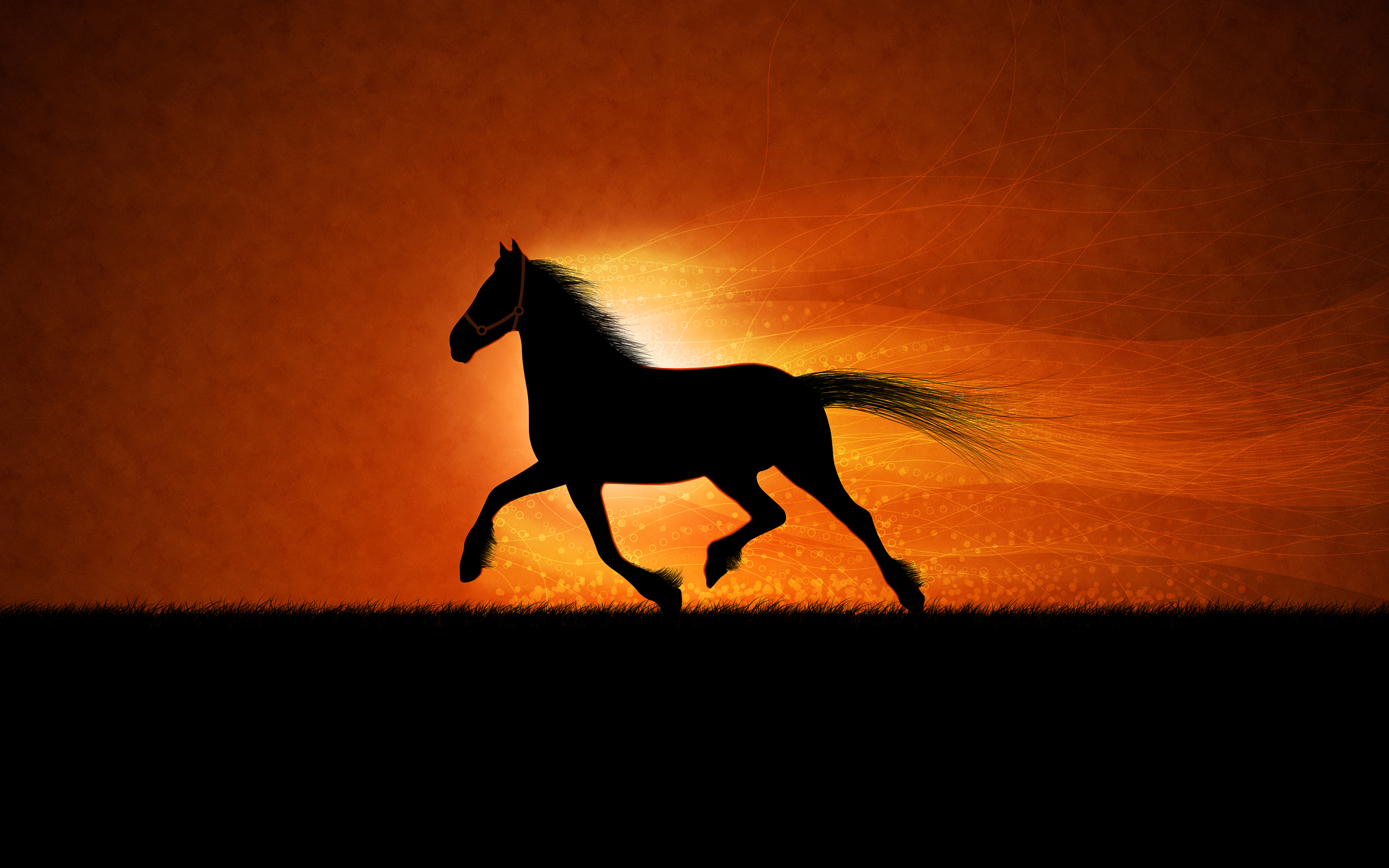 Beautiful Horse DesktopWallpapers