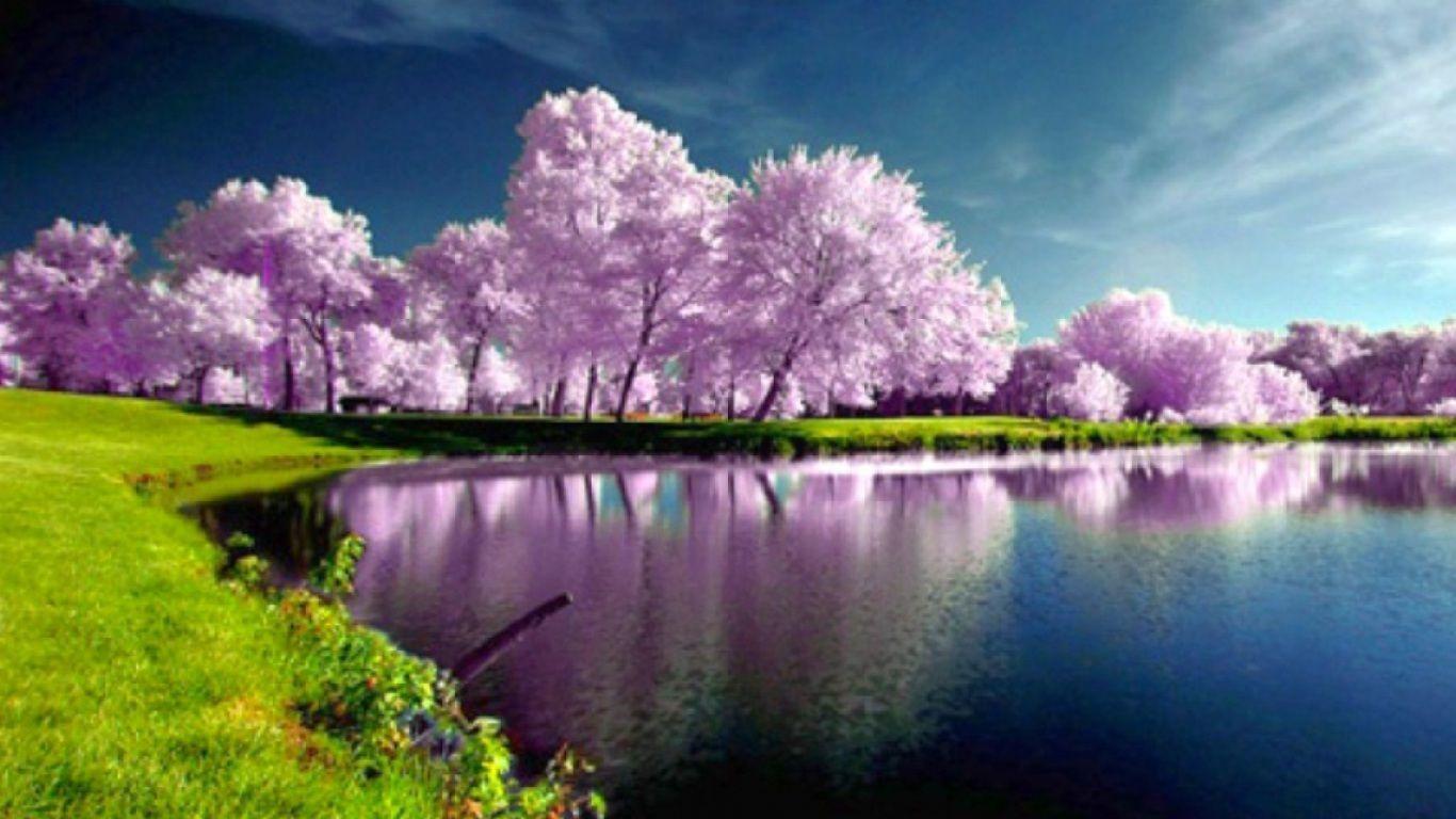 Beautiful Nature Spring Wallpapers