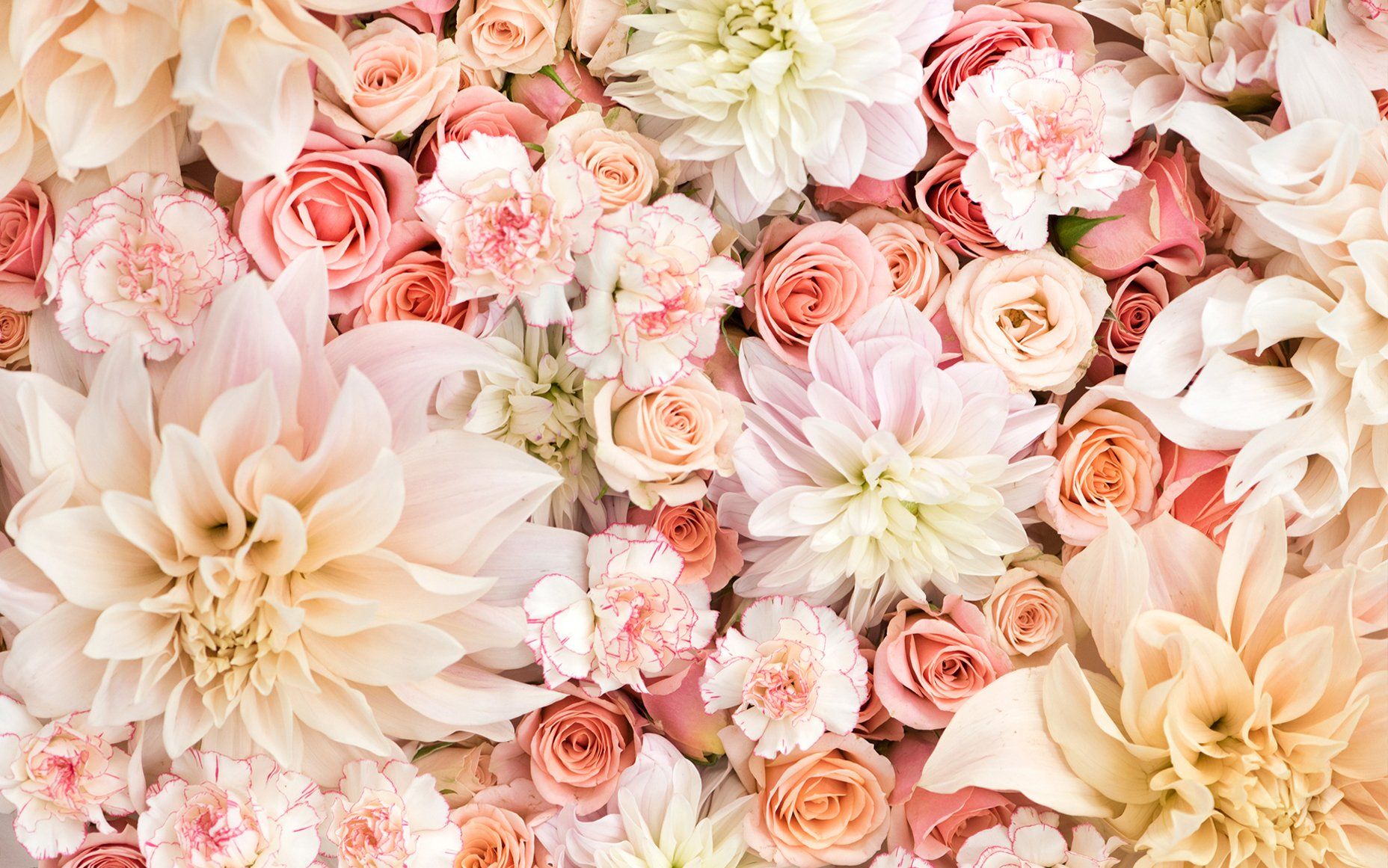 Beautiful Pastel Flowers Wallpapers