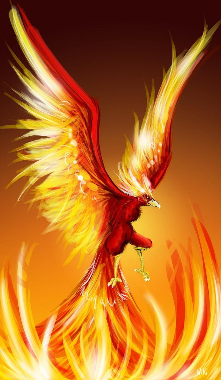 Beautiful Phoenix Wallpapers