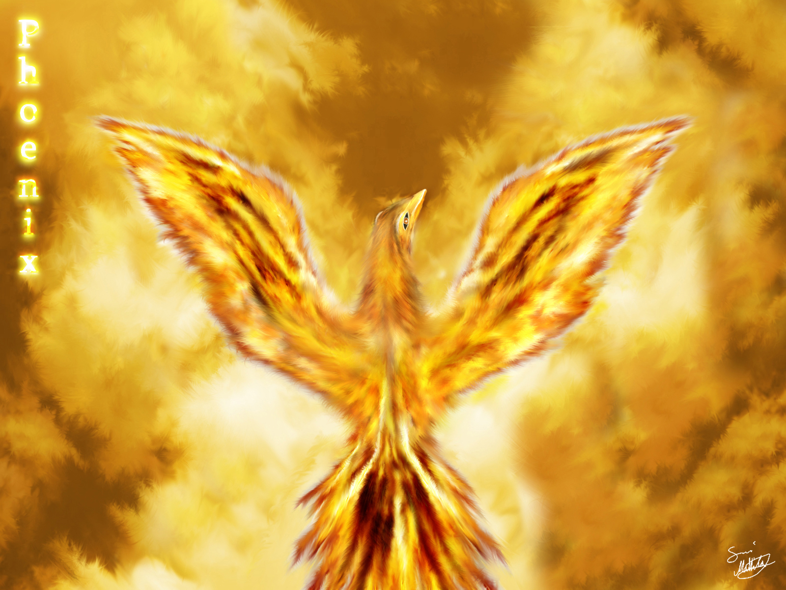 Beautiful Phoenix Wallpapers