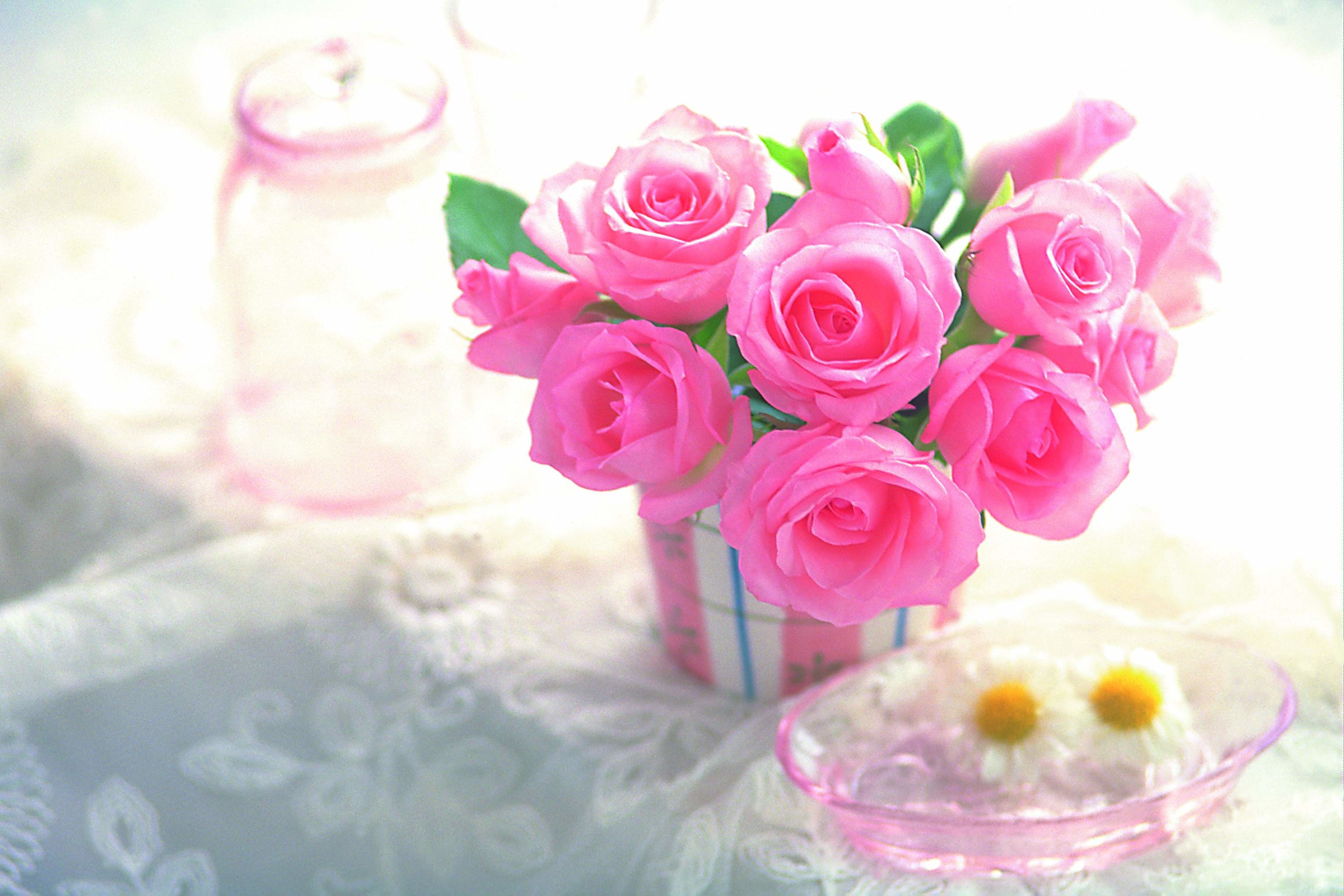 Beautiful Pink RosesWallpapers