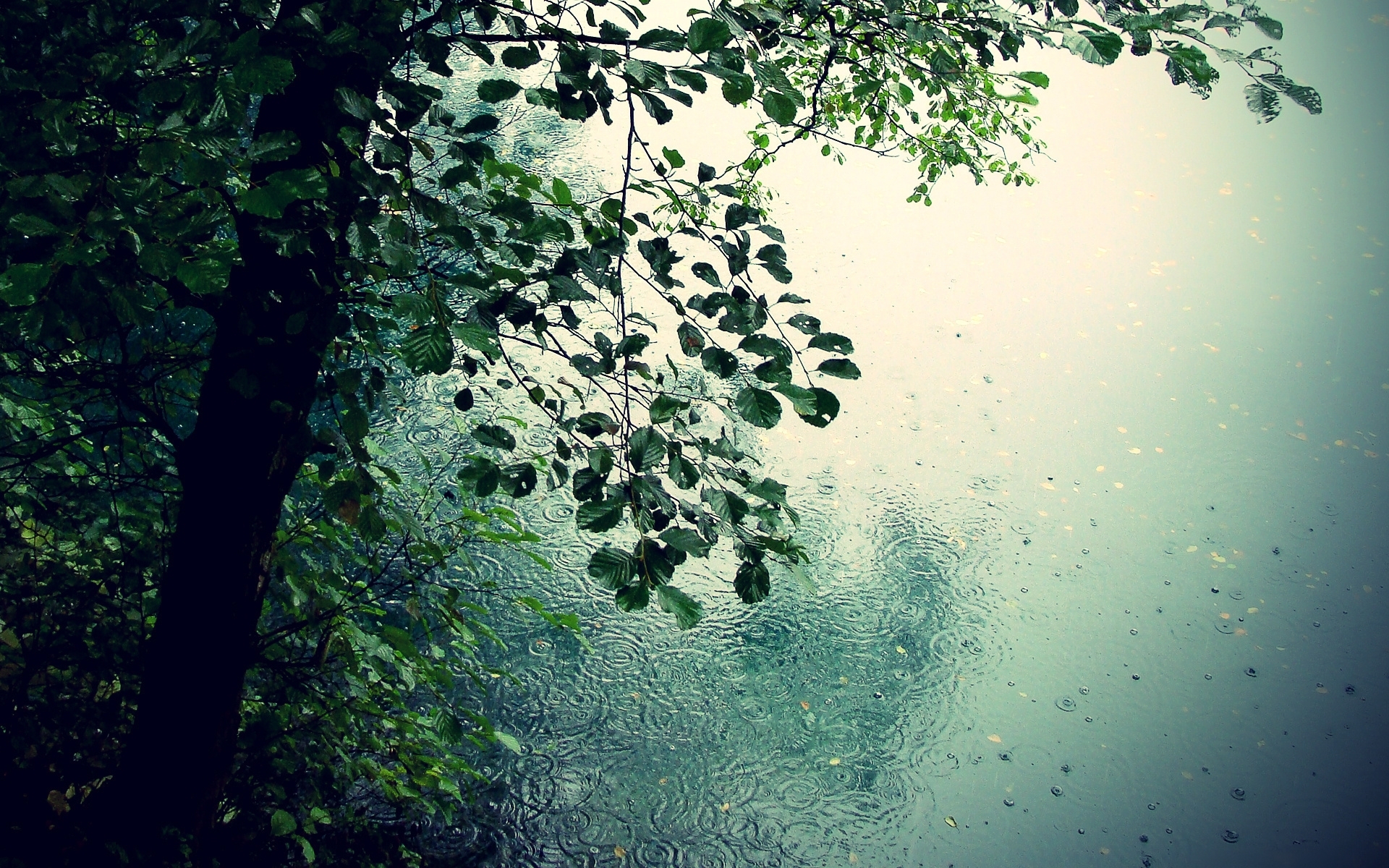 Beautiful Rain Wallpaper For Mobile Wallpapers