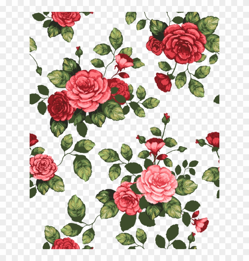 Beautiful Rose FlowersWallpapers