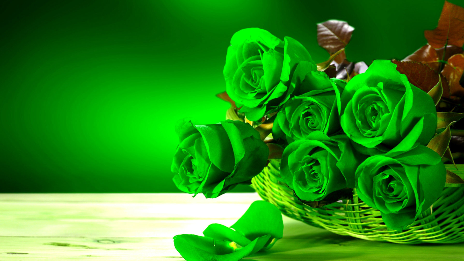 Beautiful Rose Hd Wallpapers