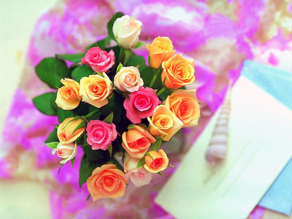 Beautiful Roses Wallpapers