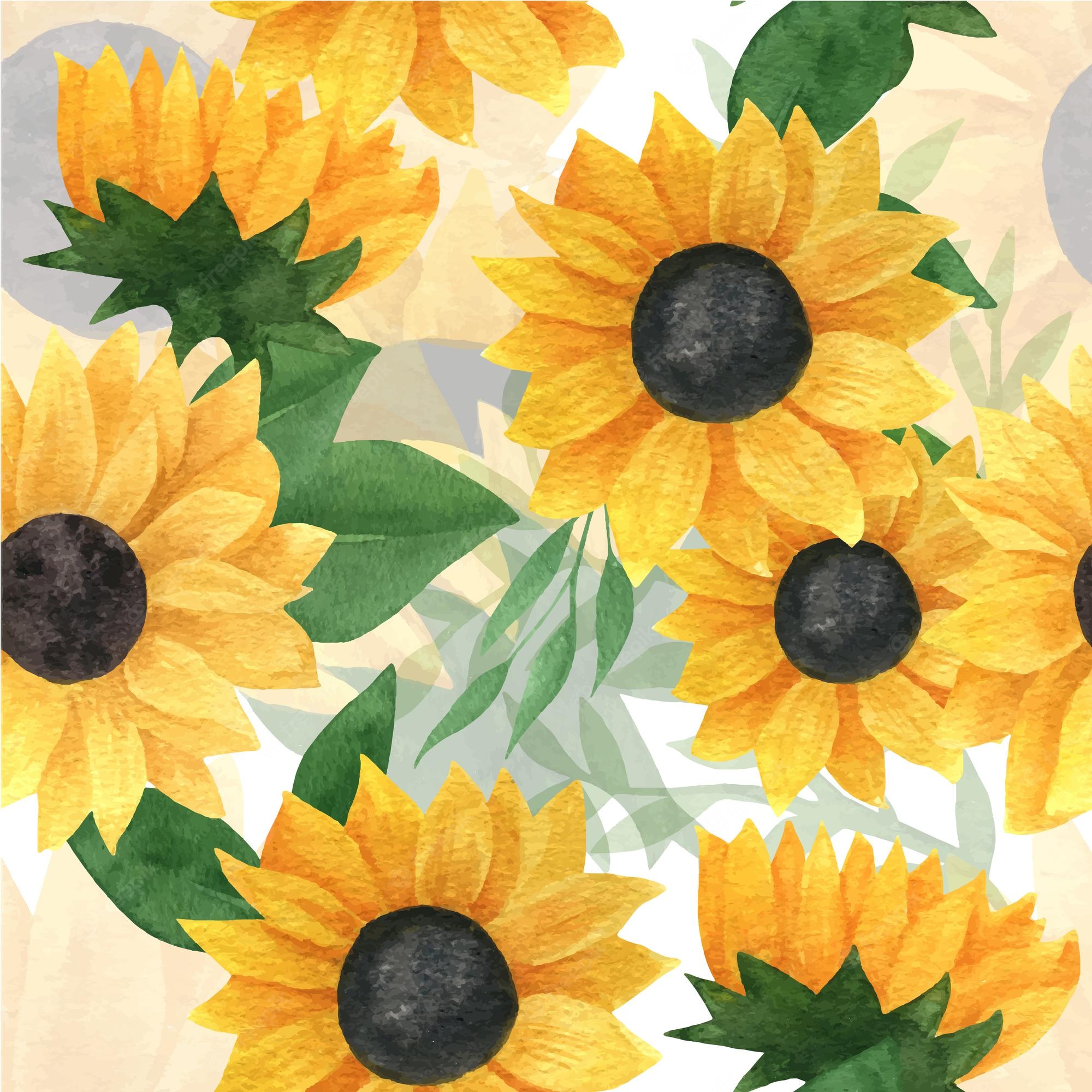 Beautiful Roses And Sunflower Wallpapers