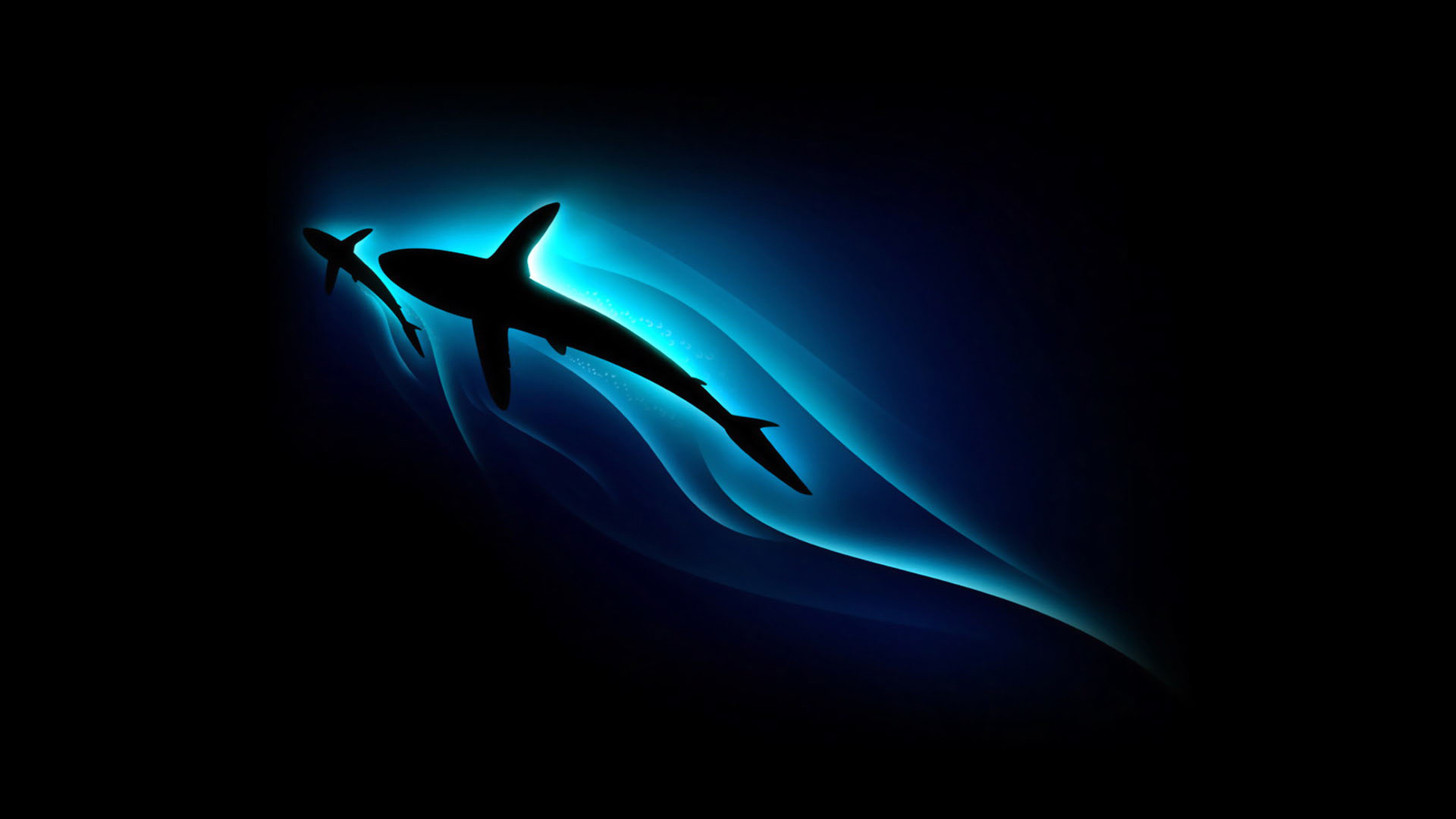 Beautiful Shark Wallpapers