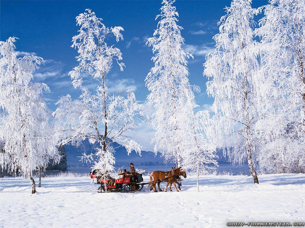 Beautiful Snow Scenes Wallpapers