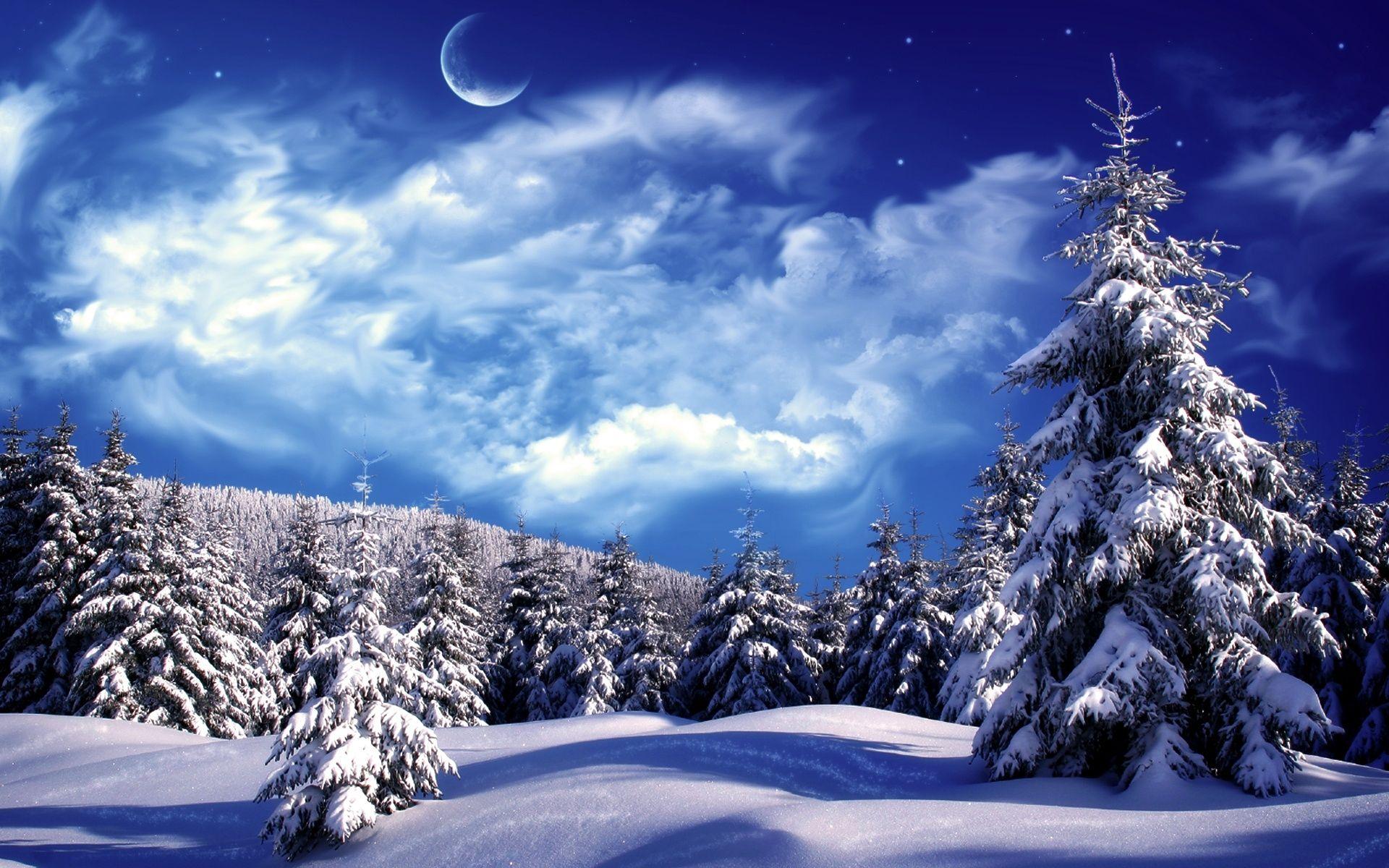 Beautiful SnowWallpapers