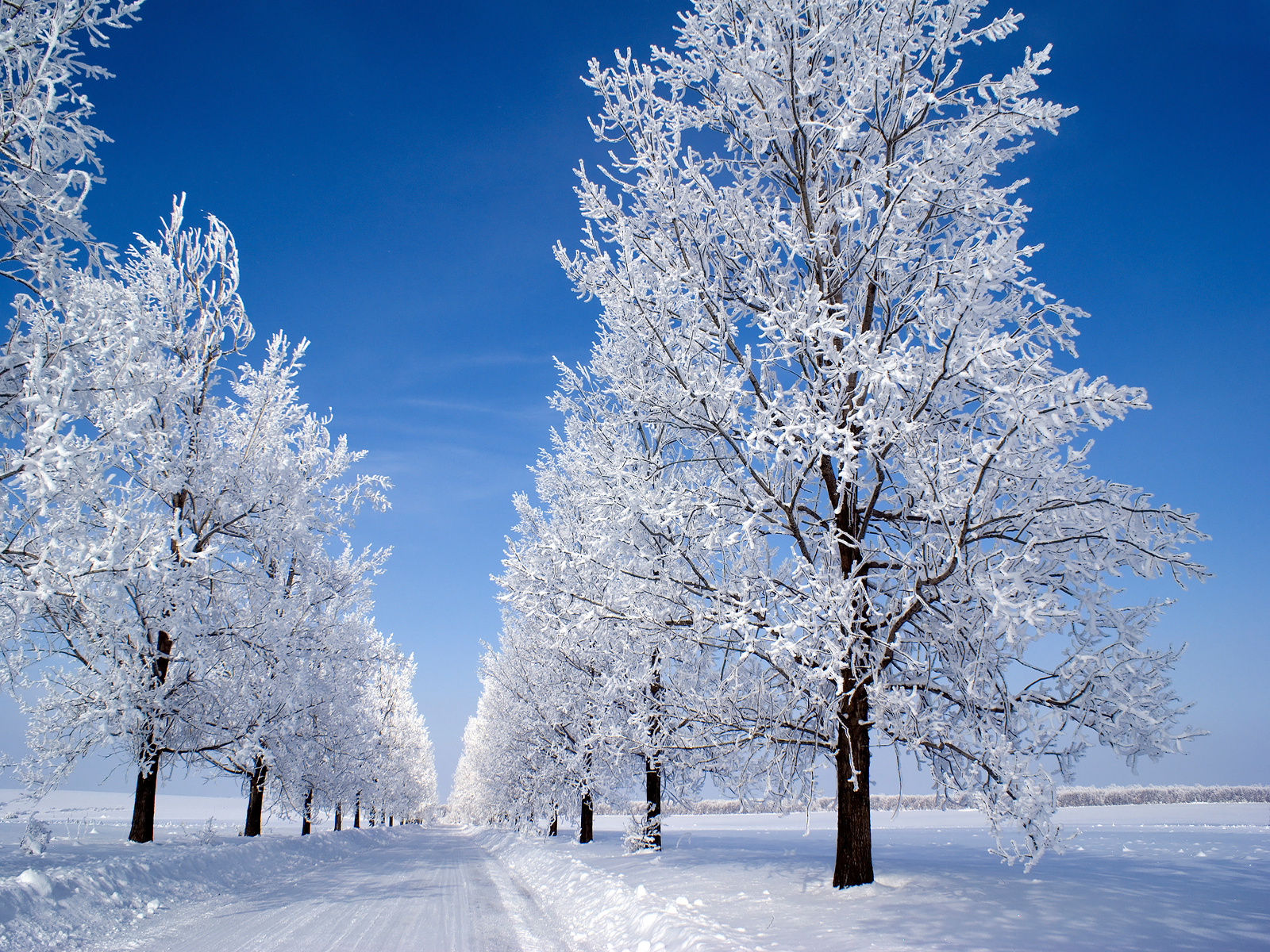 Beautiful SnowWallpapers