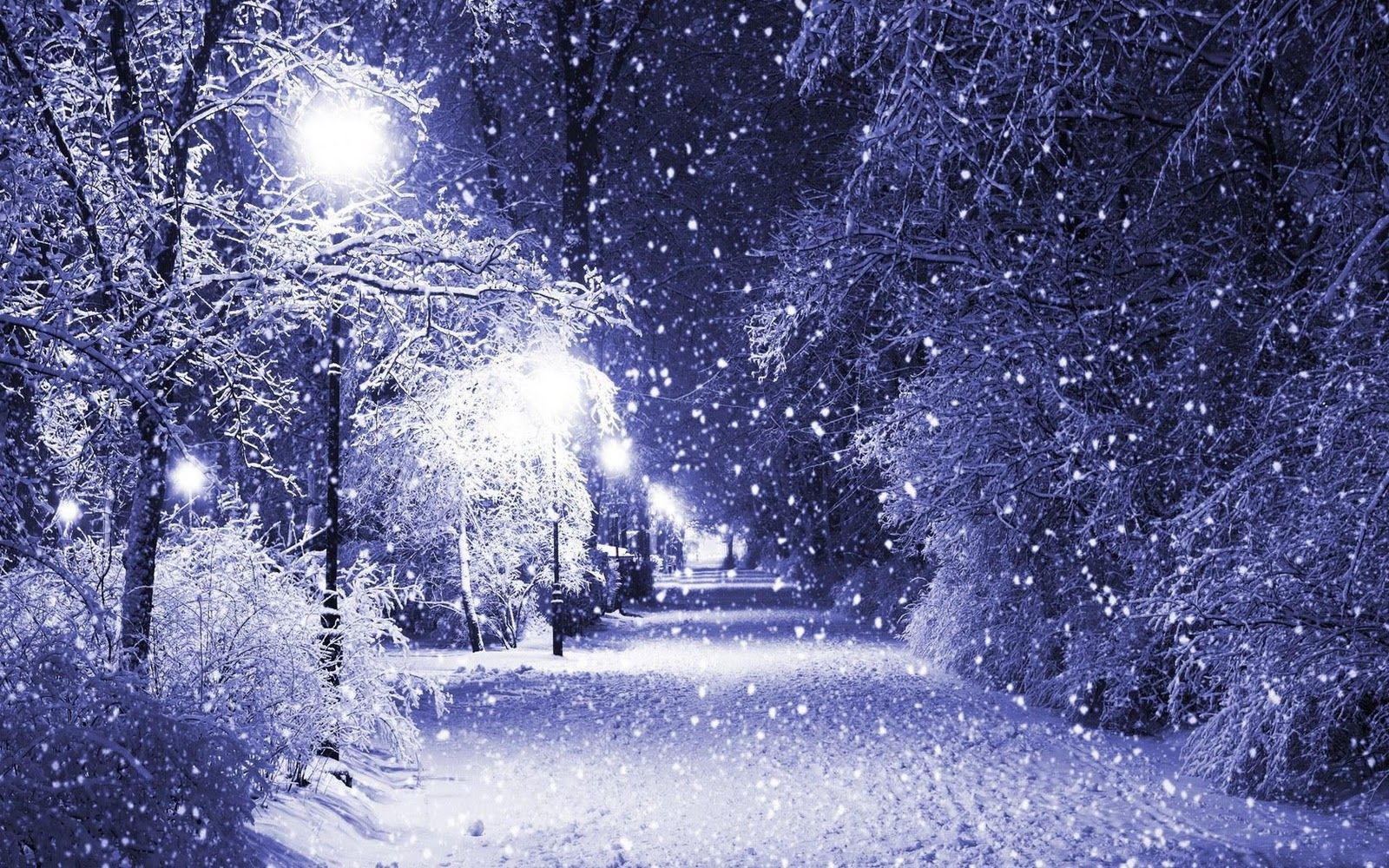 Beautiful SnowWallpapers