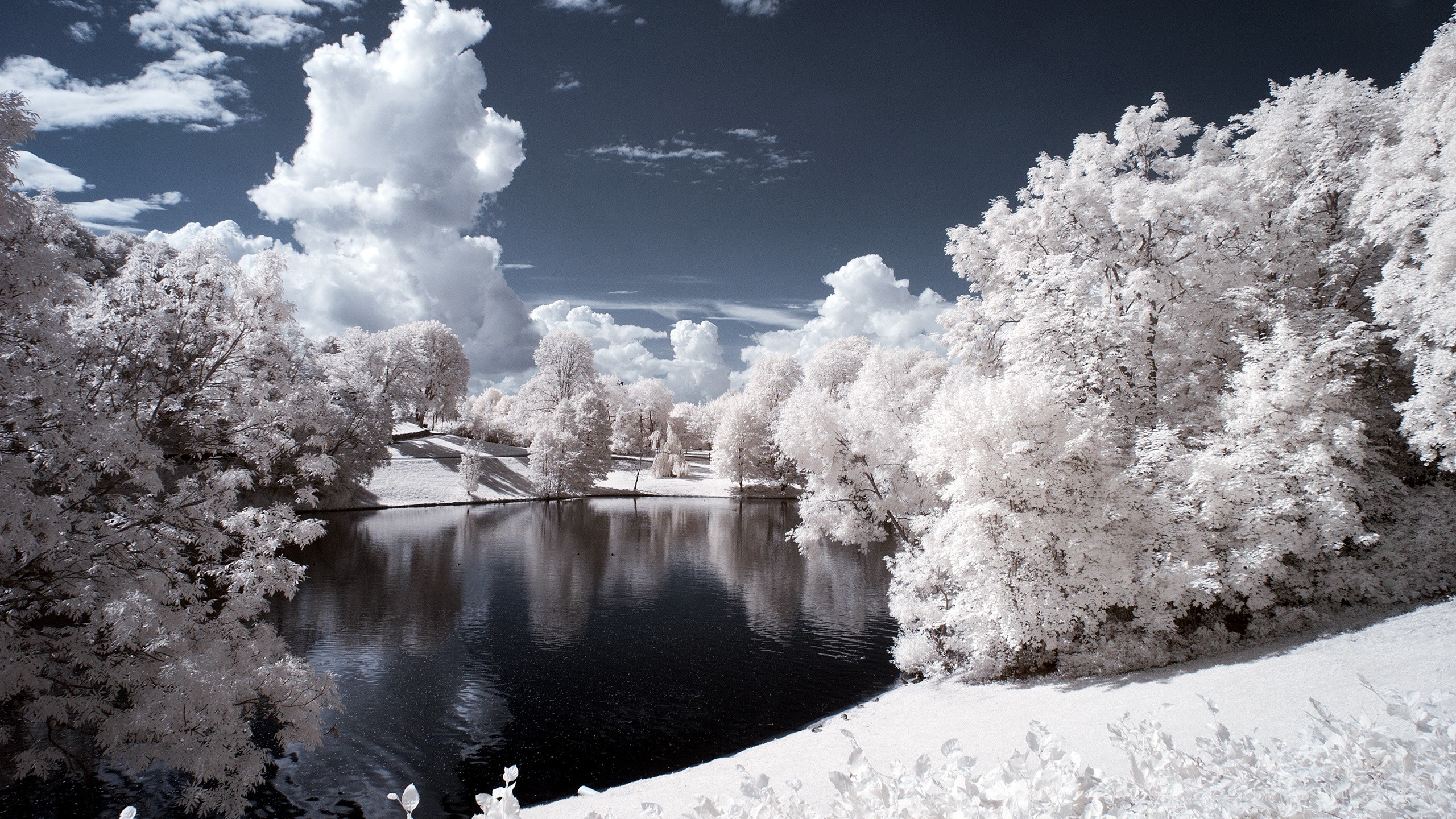 Beautiful SnowWallpapers