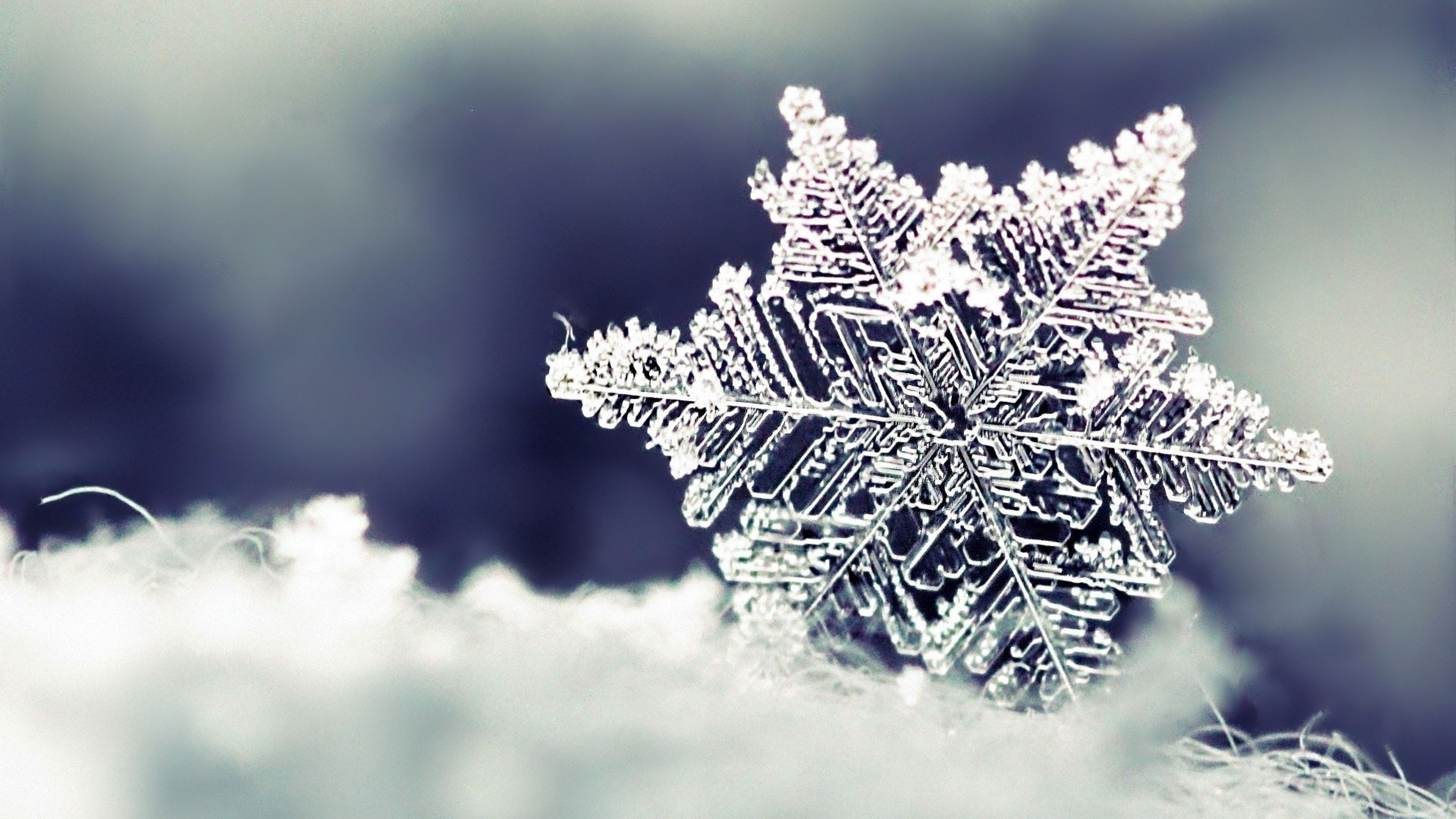 Beautiful SnowWallpapers