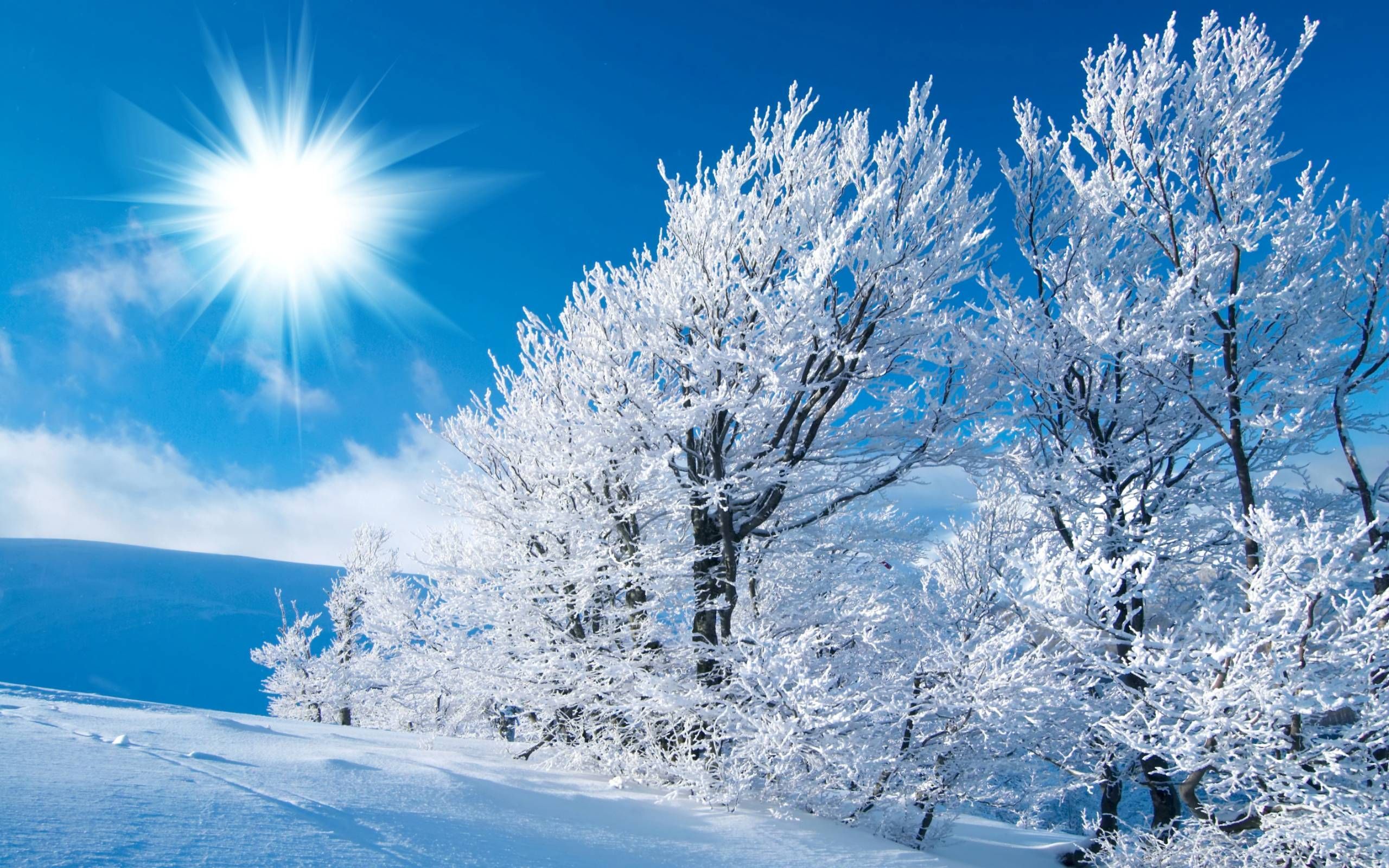 Beautiful SnowWallpapers