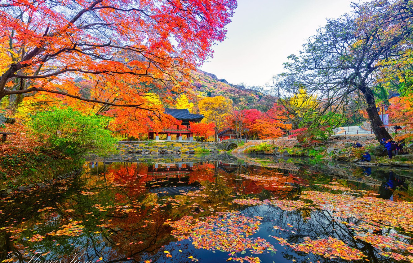 Beautiful South Korea Wallpapers