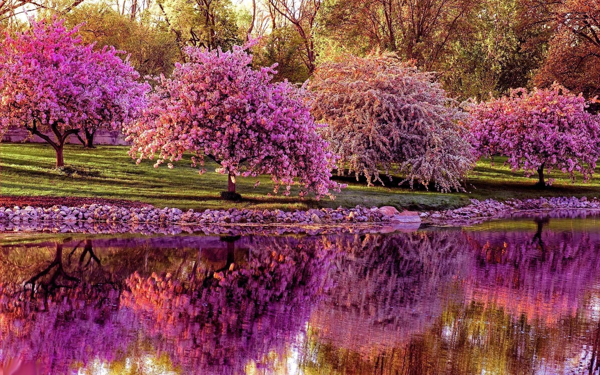 Beautiful Spring DesktopWallpapers