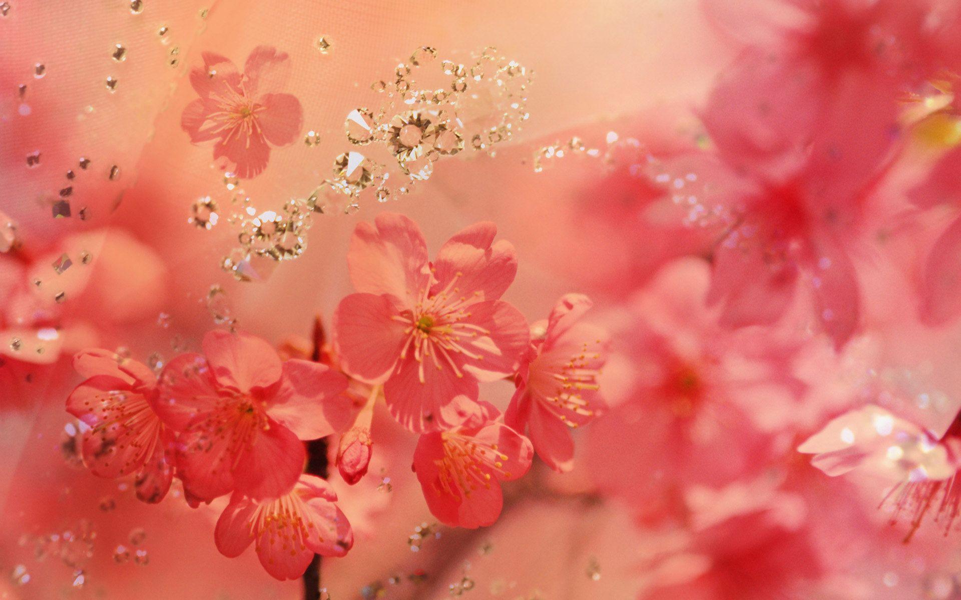 Beautiful SpringWallpapers