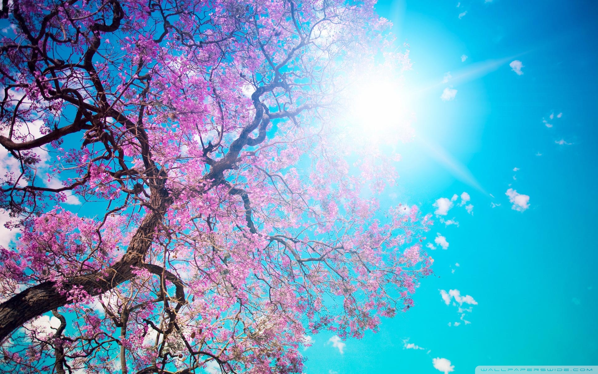 Beautiful Sunshine Wallpapers