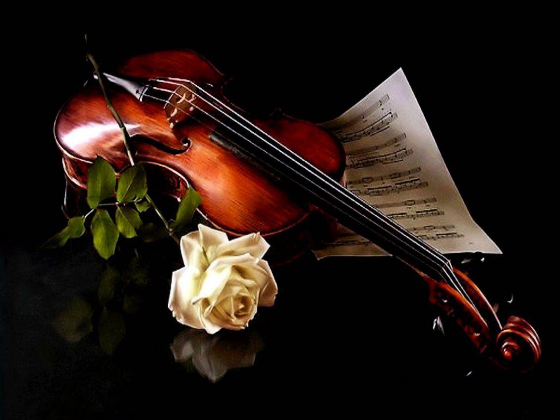 Beautiful Violin Wallpapers