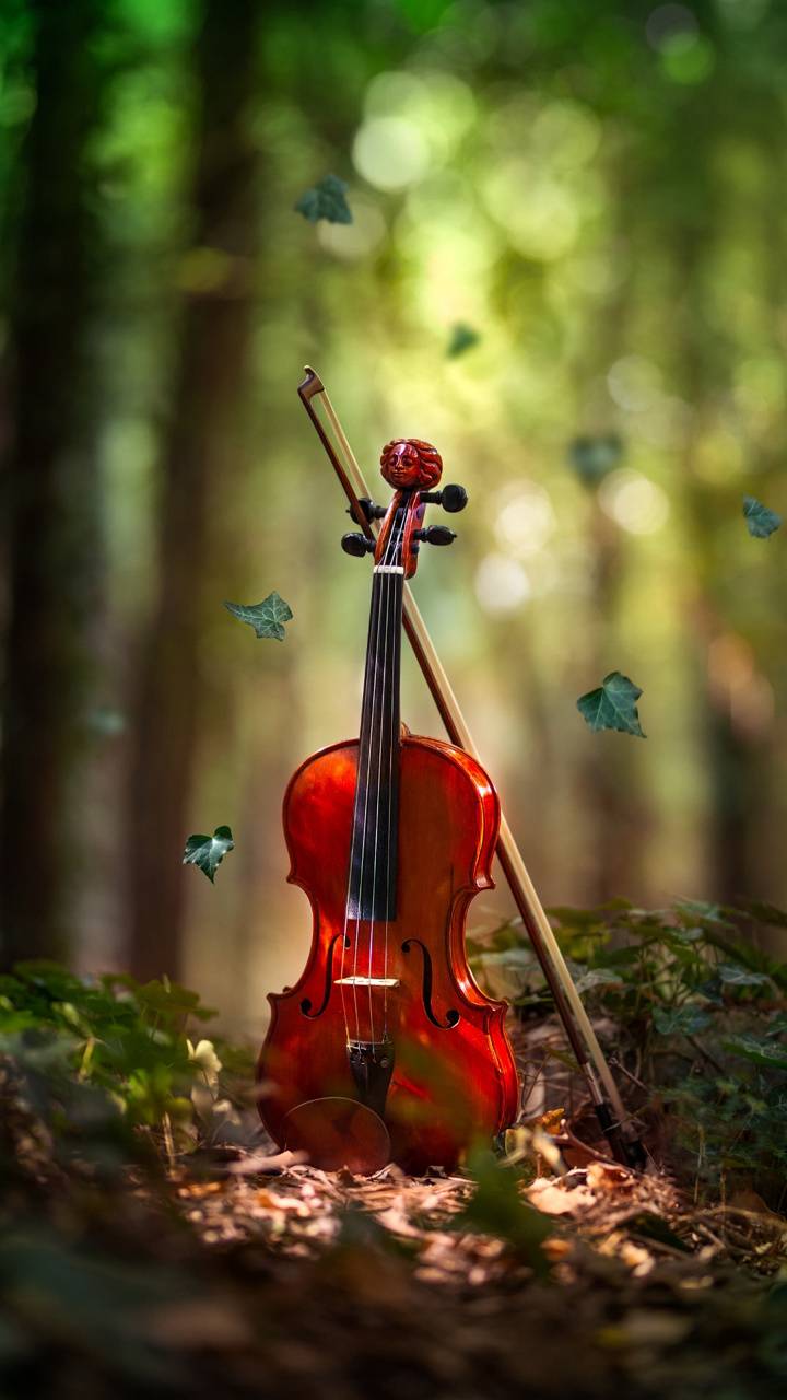 Beautiful Violin Wallpapers