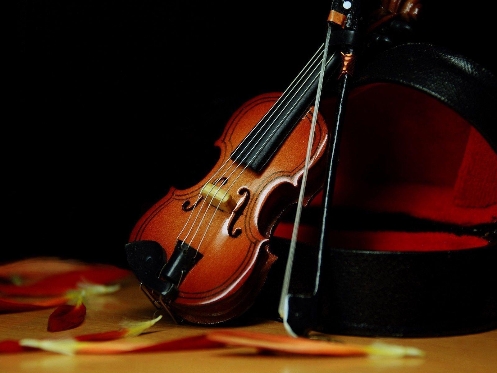 Beautiful Violin Wallpapers