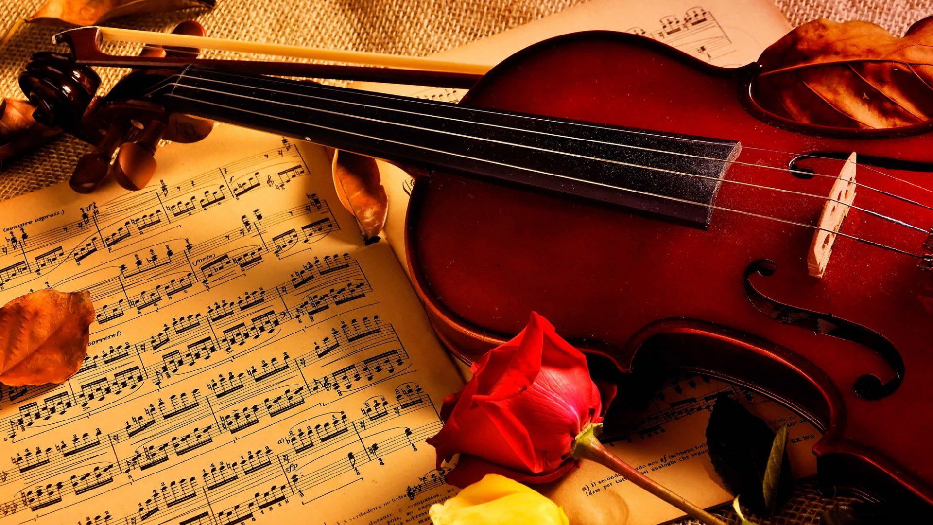 Beautiful Violin Wallpapers