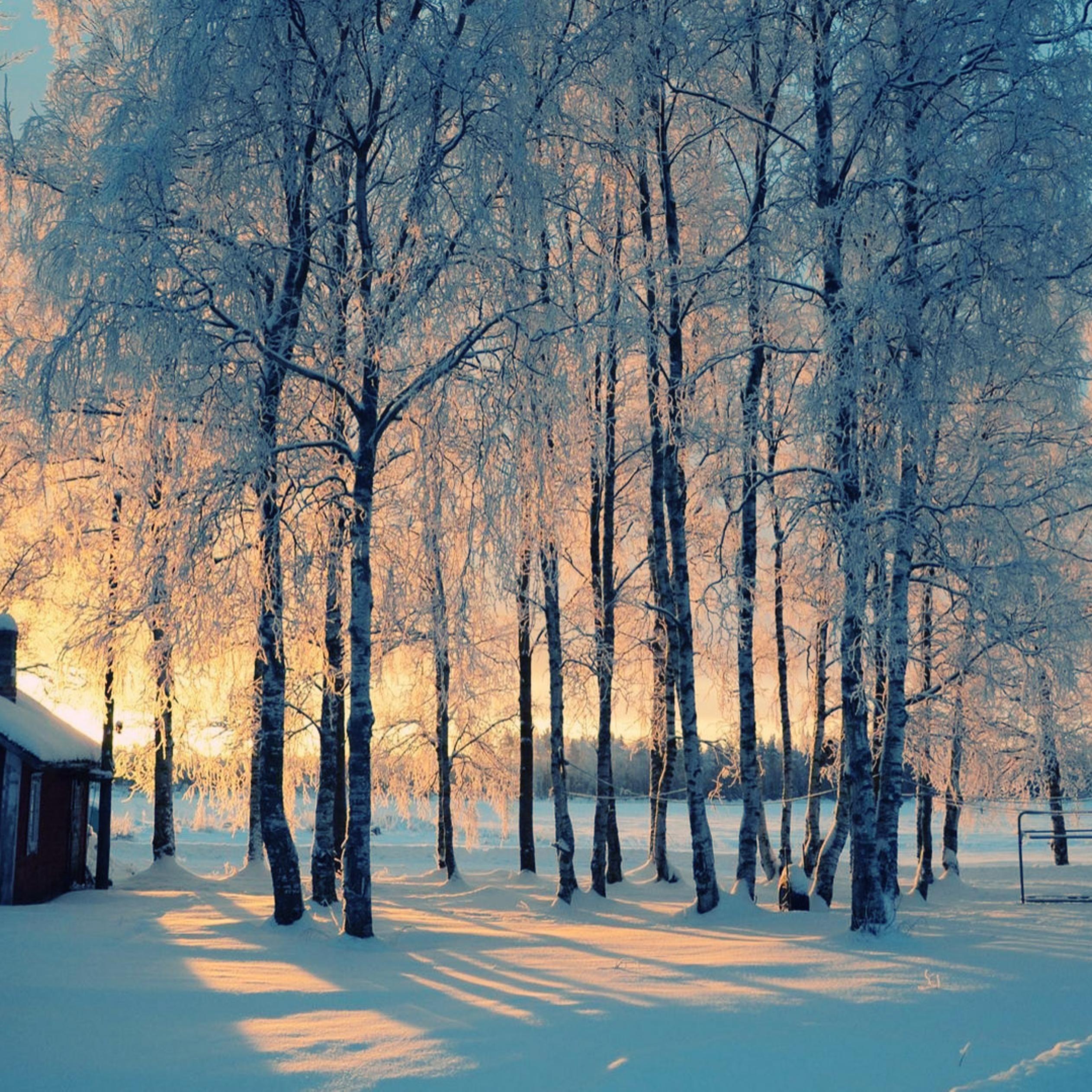 Beautiful Winter Wallpapers