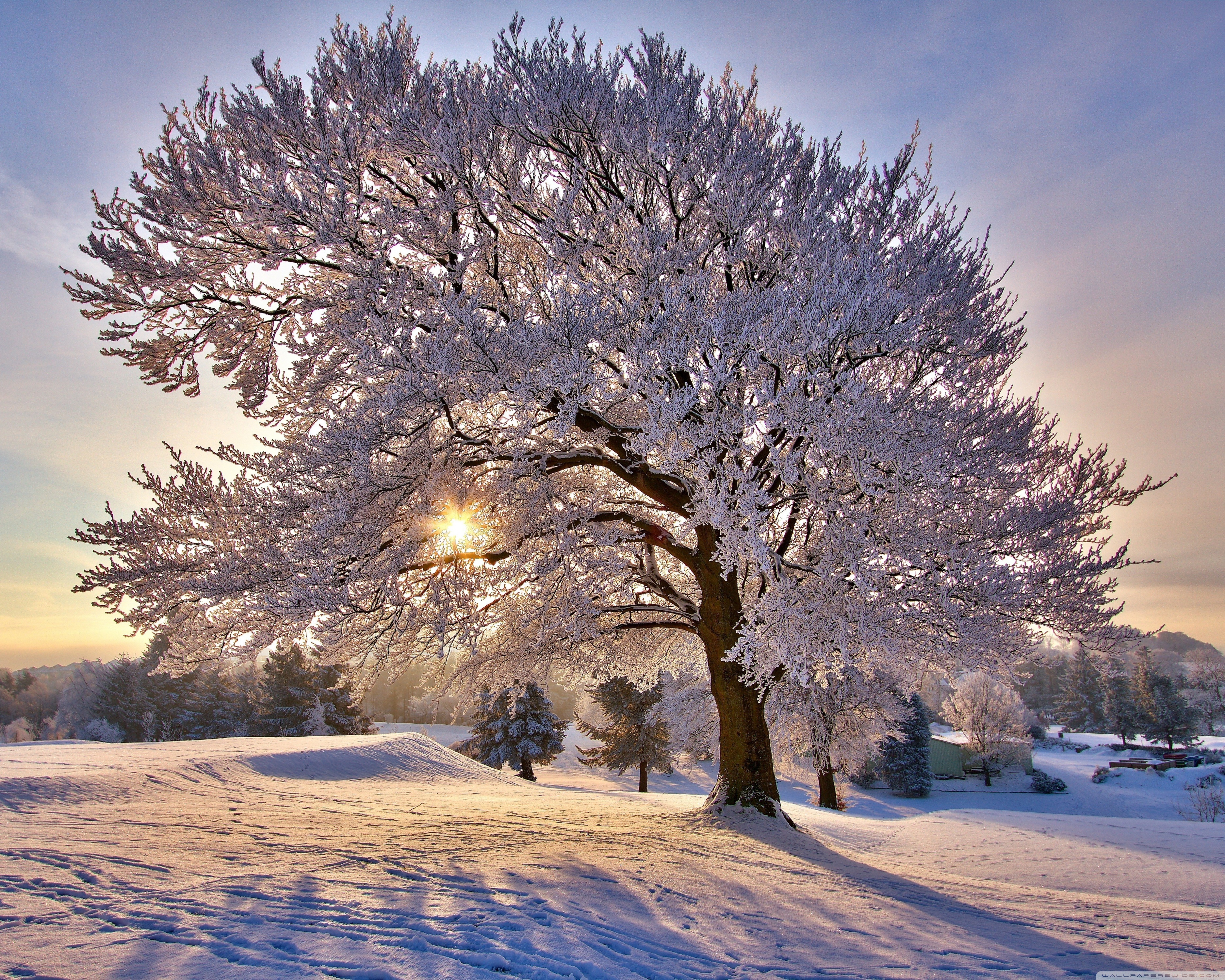 Beautiful Winter Wallpapers