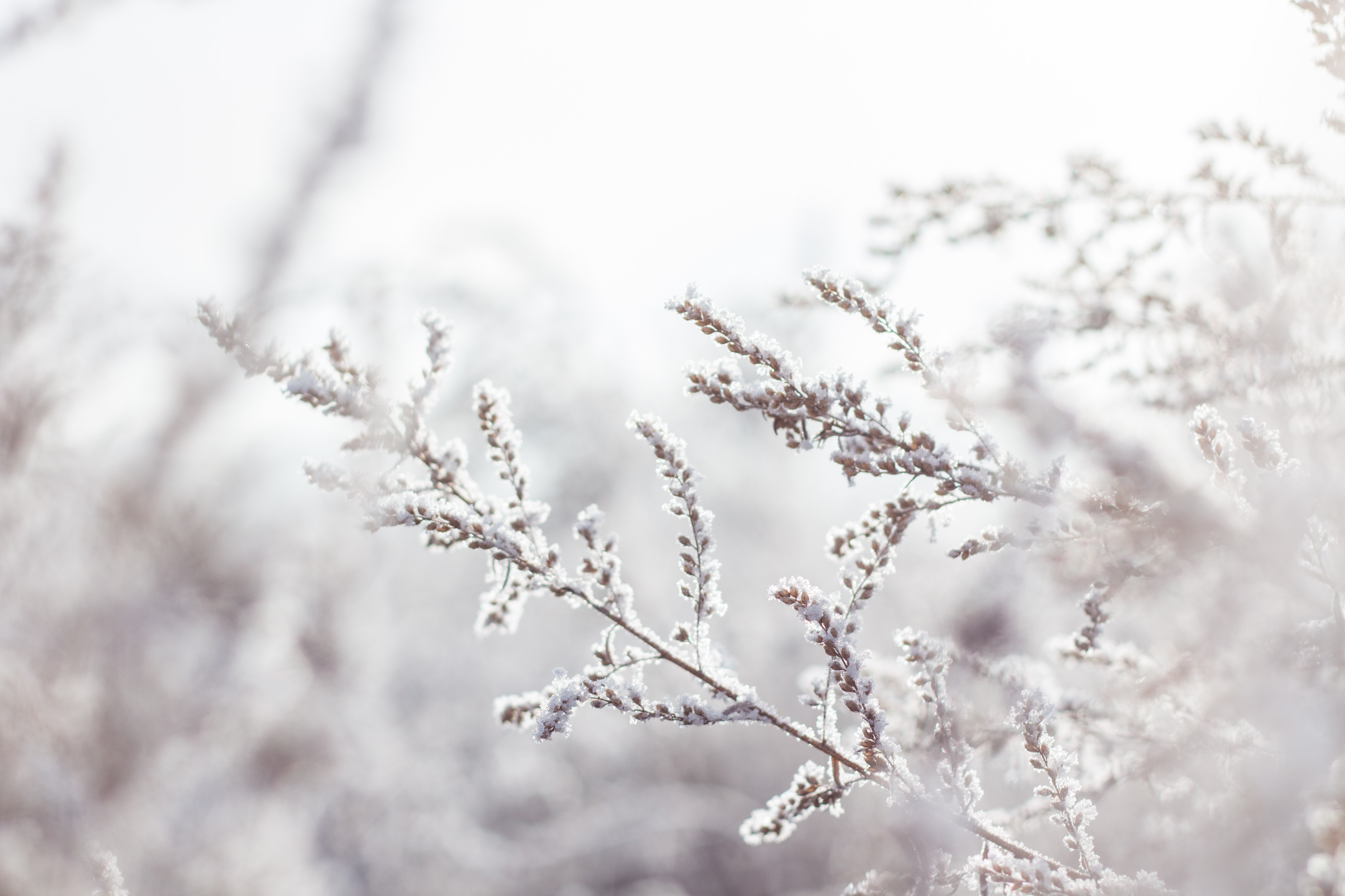 Beautiful Winter Wallpapers