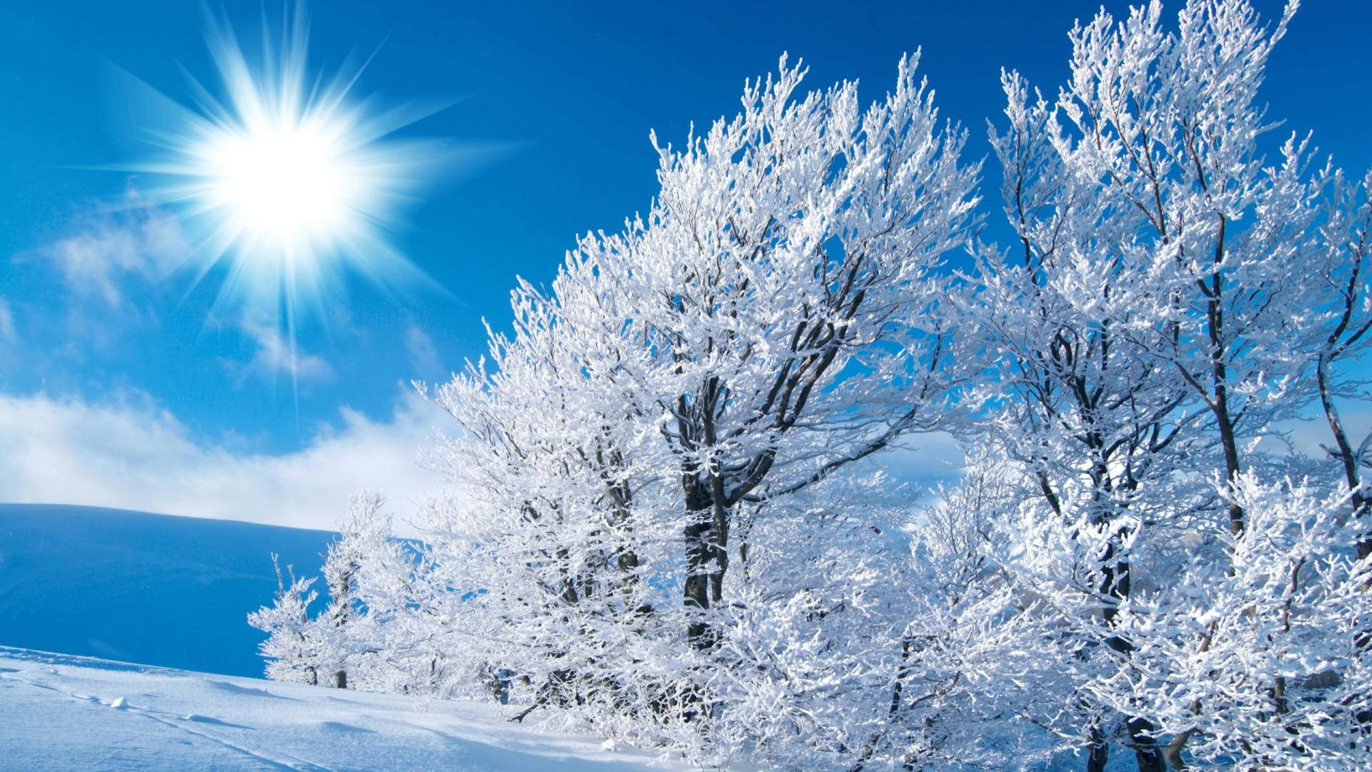 Beautiful Winter Desktop Wallpapers