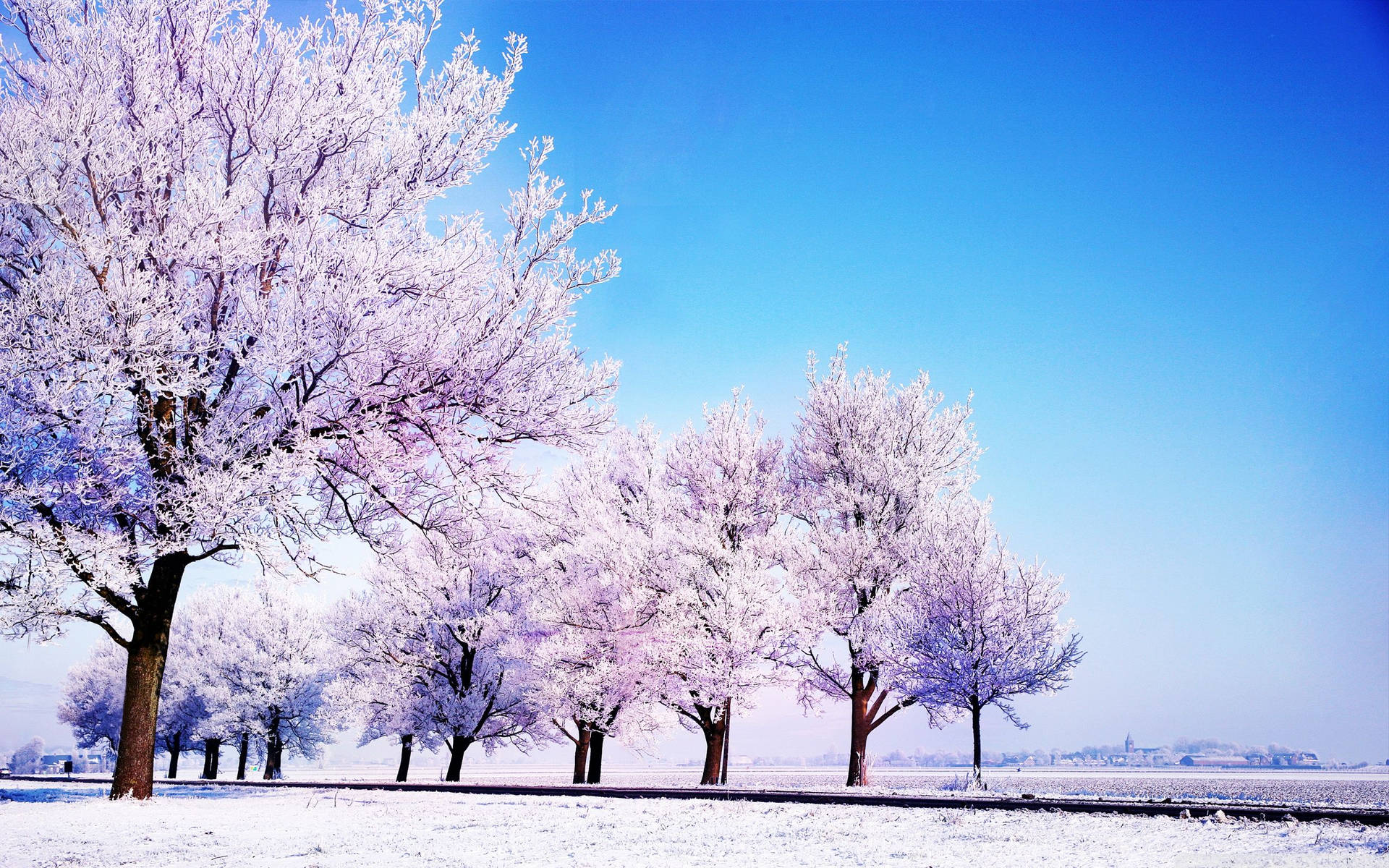 Beautiful Winter Desktop Wallpapers