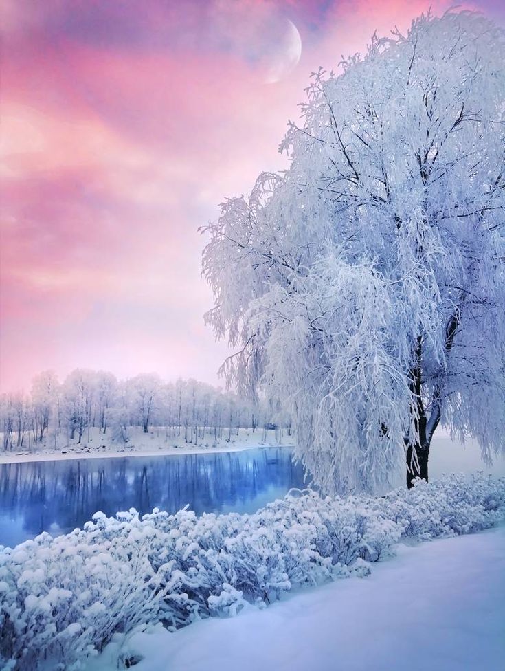 Beautiful Winter Desktop Wallpapers