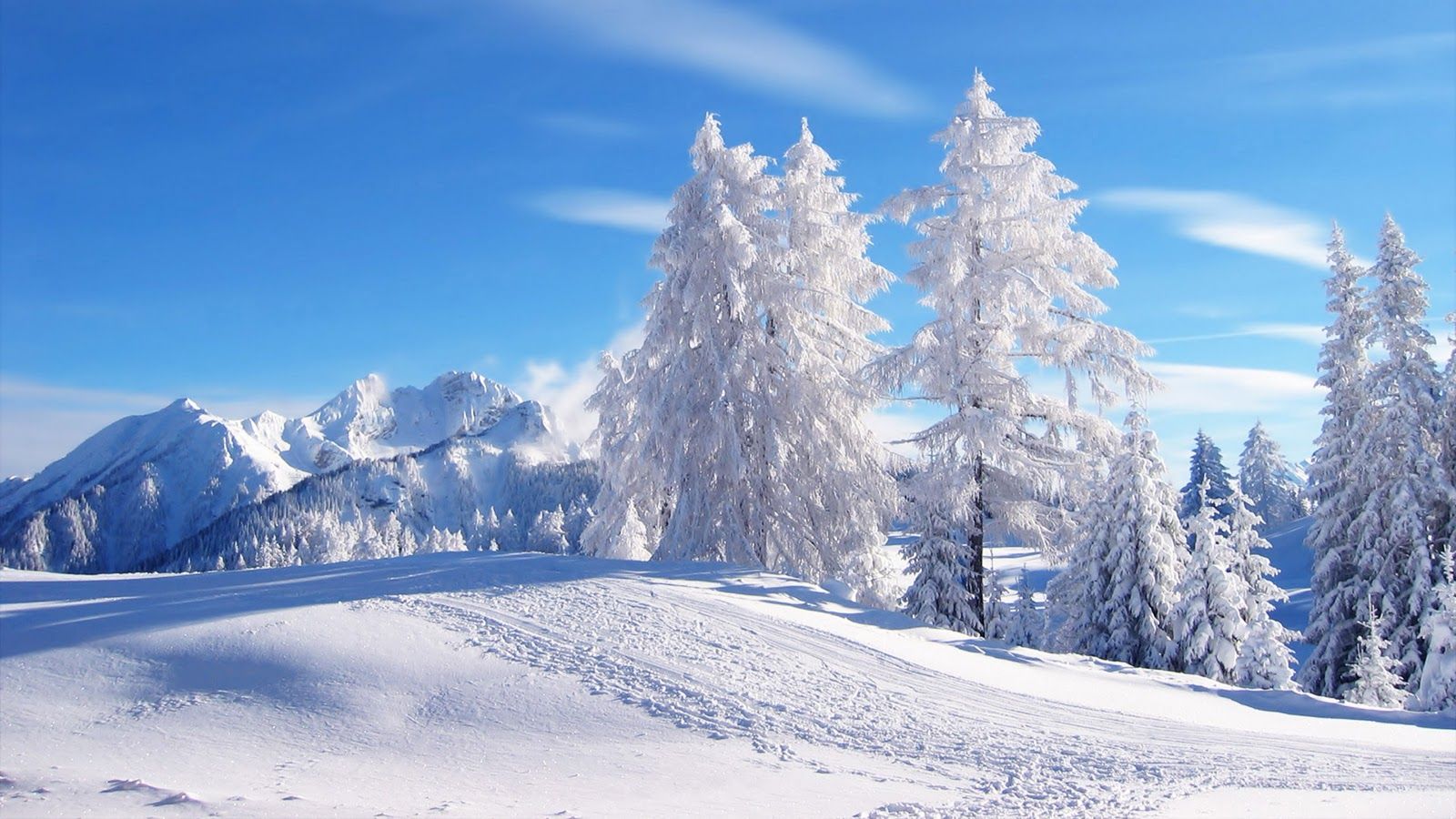 Beautiful Winter Scenes Wallpapers