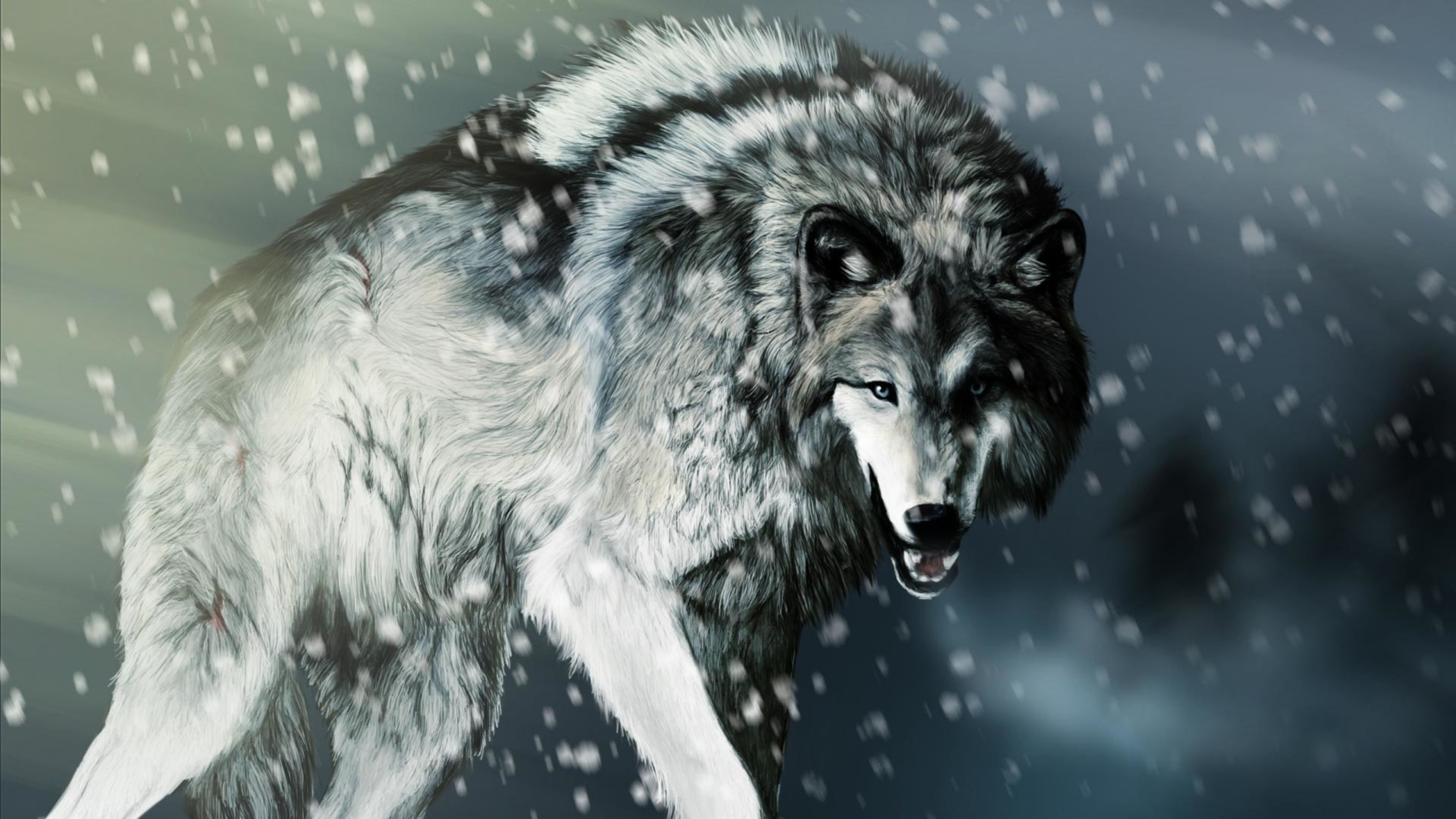 Beautiful Wolf Wallpapers