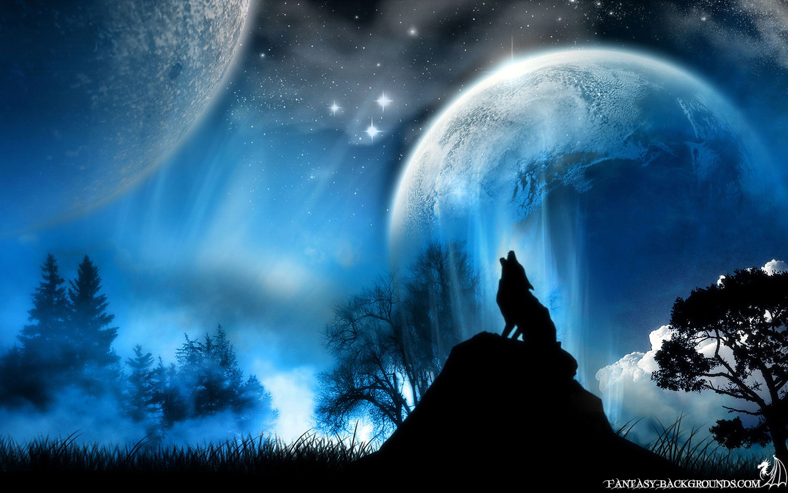 Beautiful WolvesWallpapers